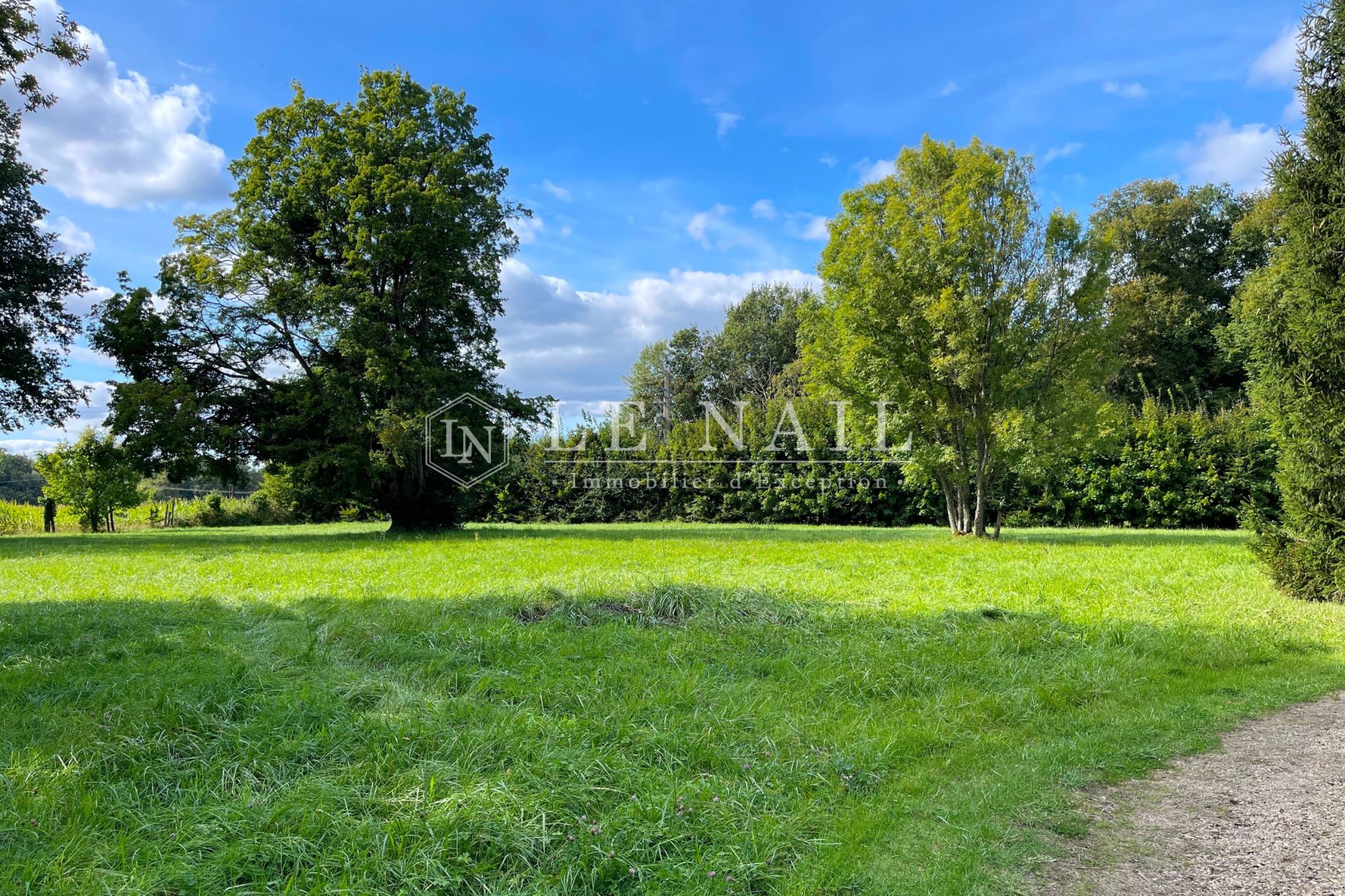 manoir 15 pièces en vente à EPERNAY (51200)