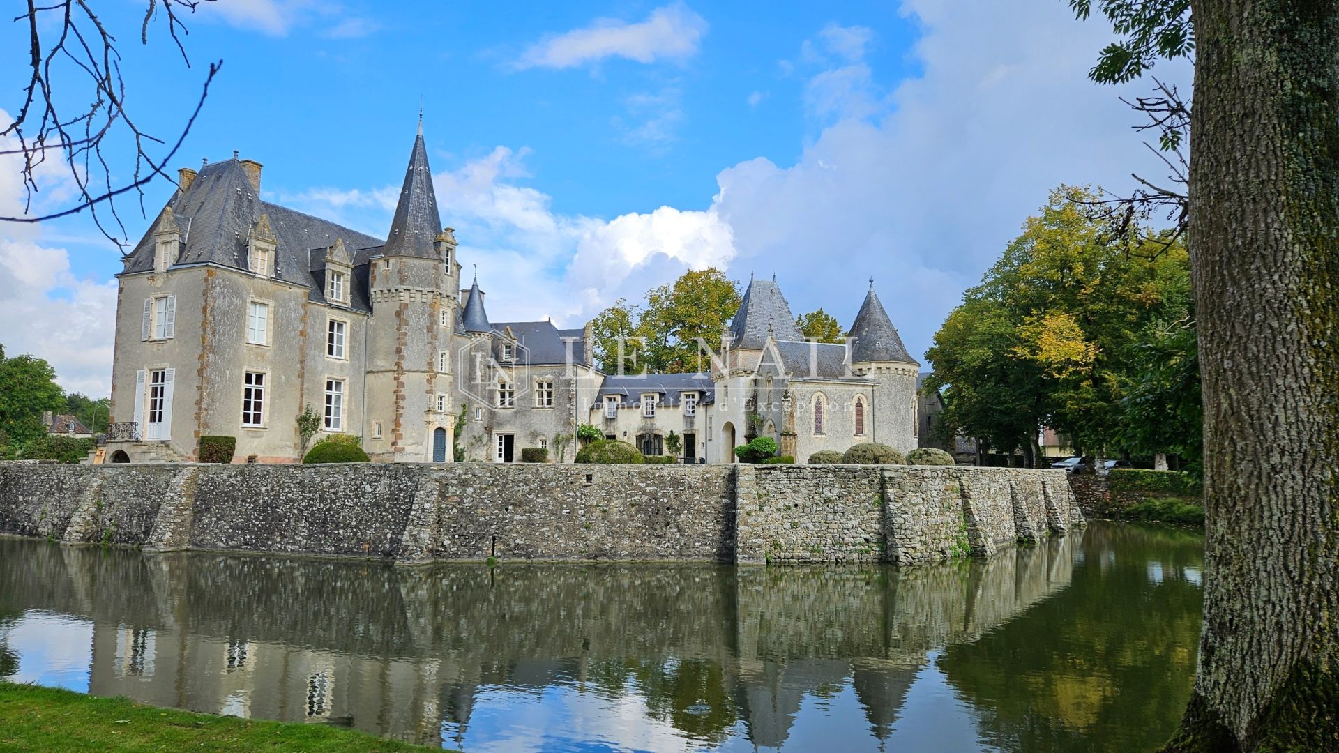 château 29 pièces en vente à FRESNAY SUR SARTHE (72130)