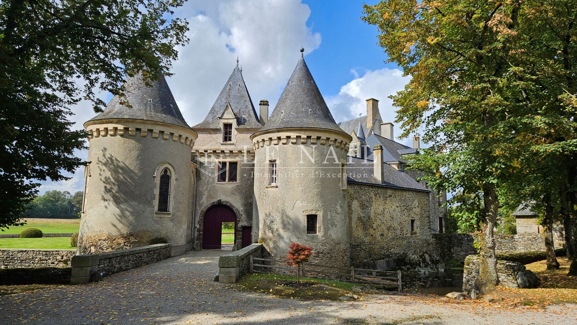 château 29 pièces en vente à FRESNAY SUR SARTHE (72130)