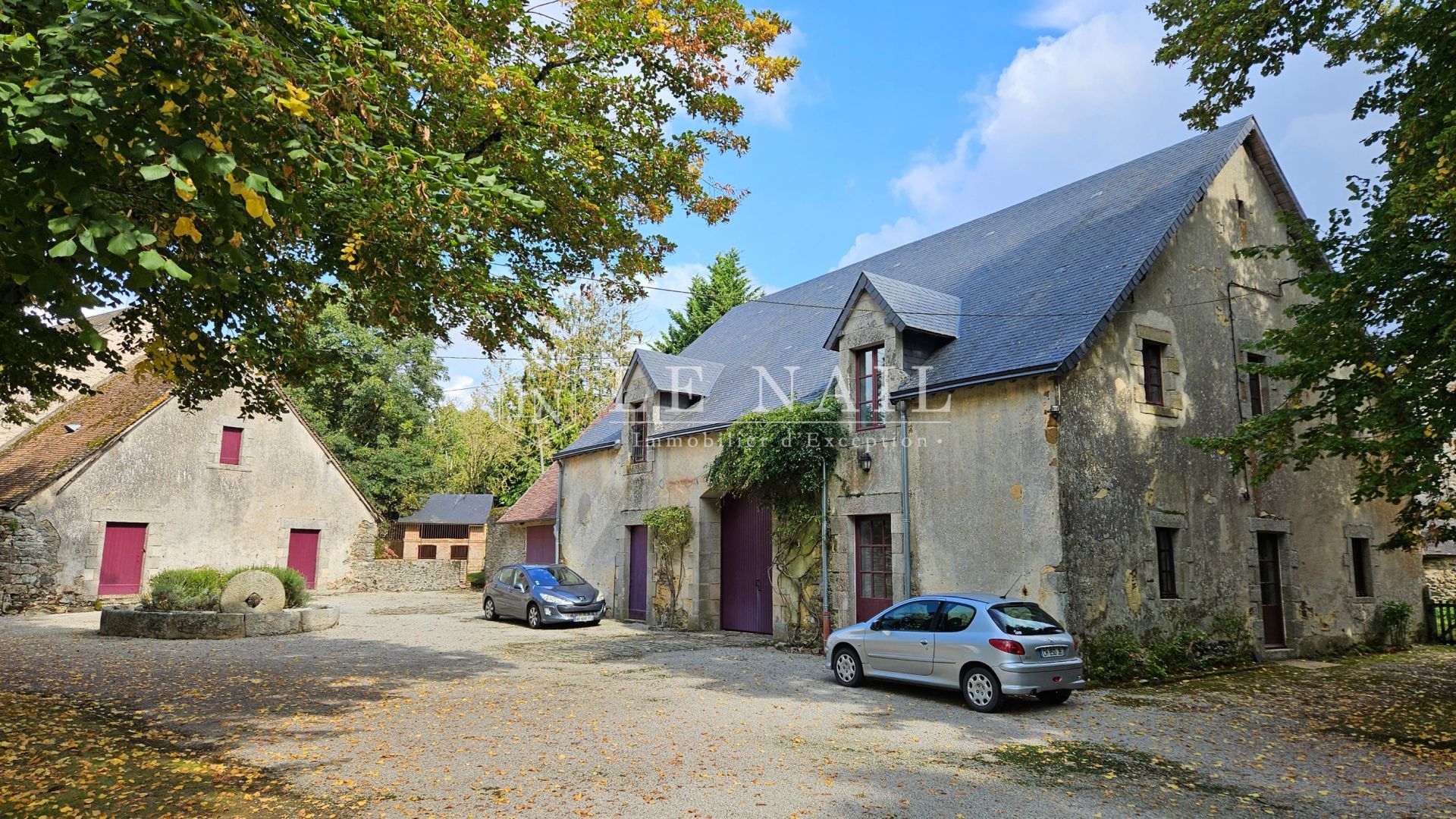 château 29 pièces en vente à FRESNAY SUR SARTHE (72130)