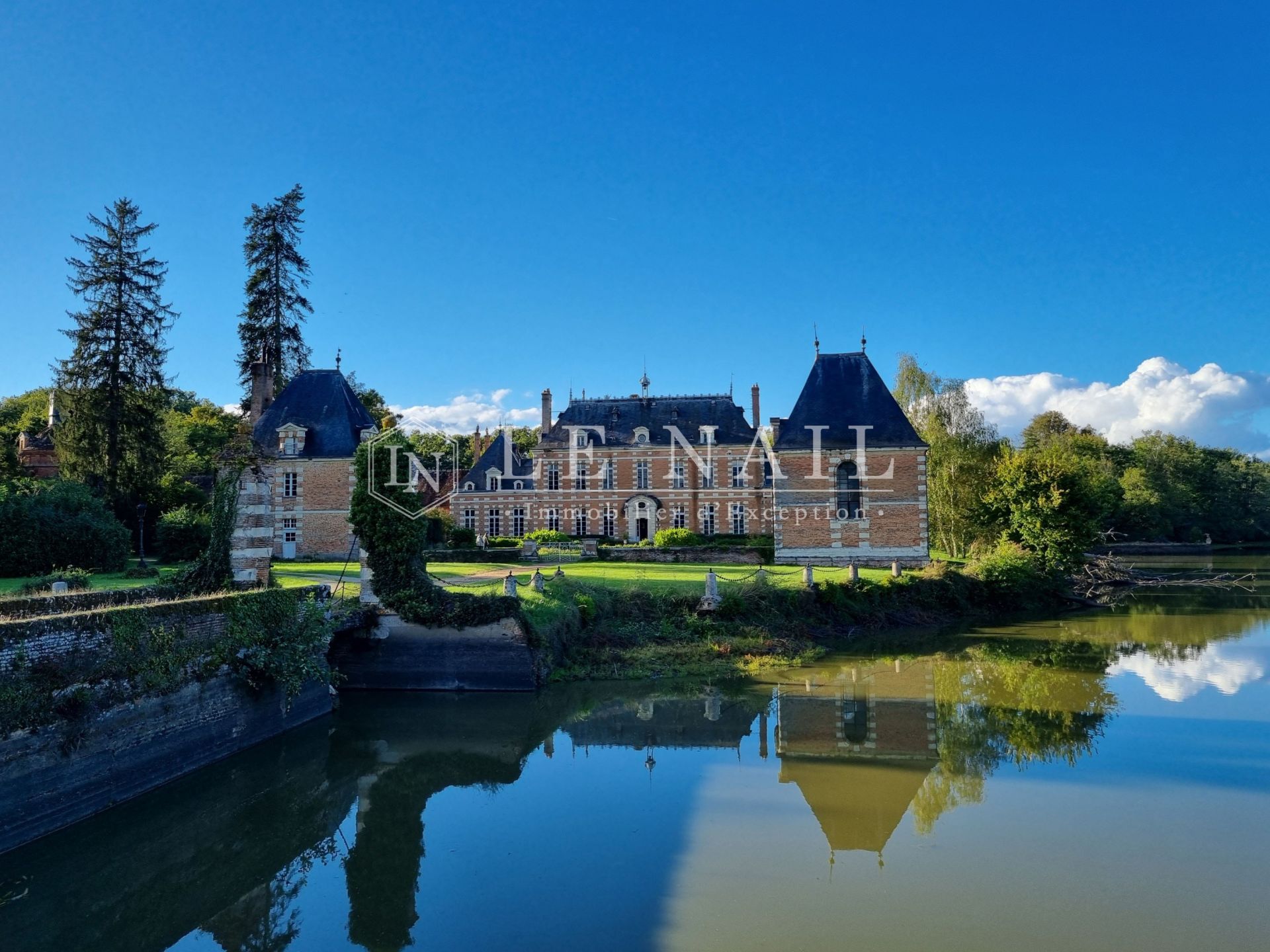 castle 24 rooms for sale on ST VIATRE (41210)