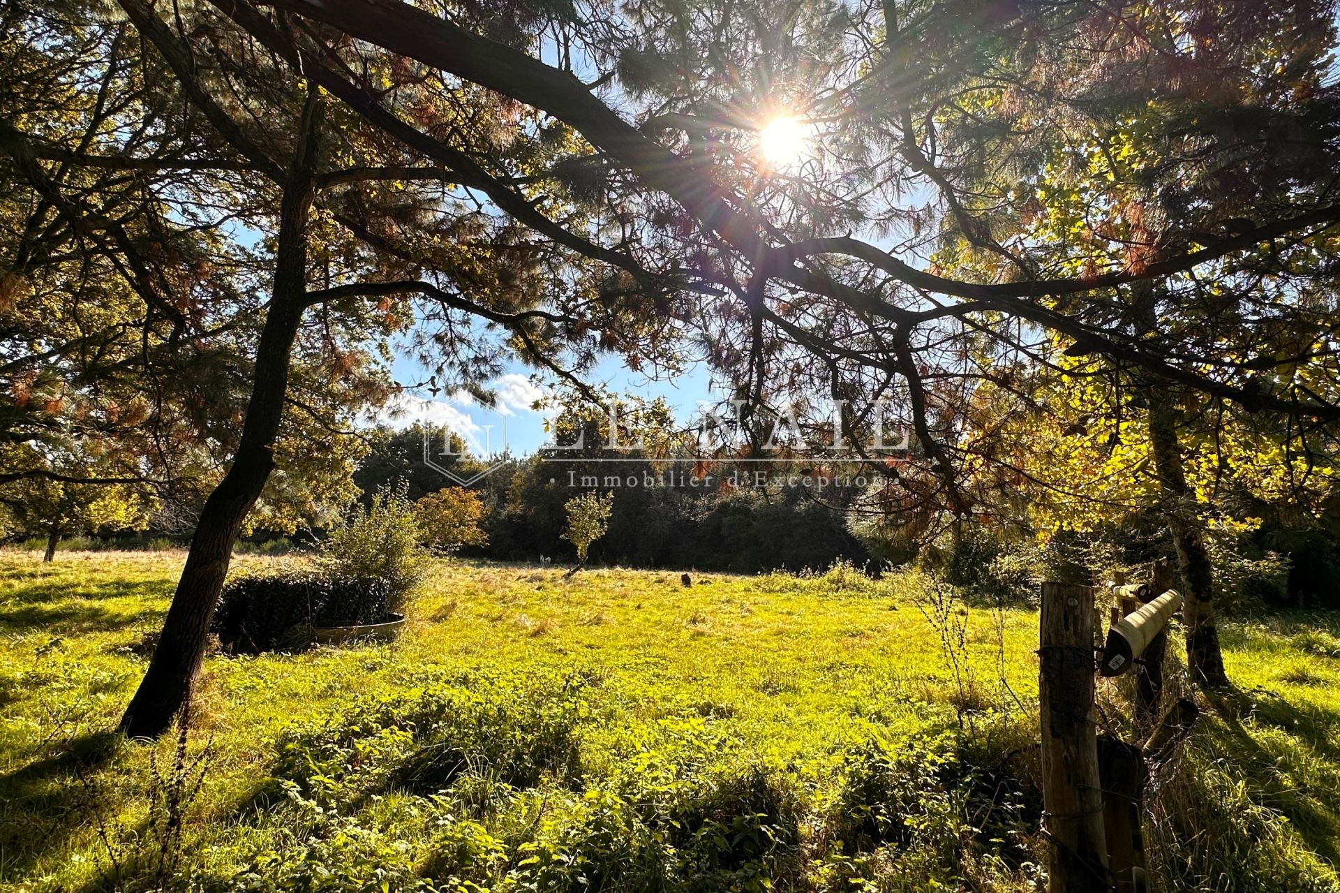 manoir 12 pièces en vente à PONTCHATEAU (44160)