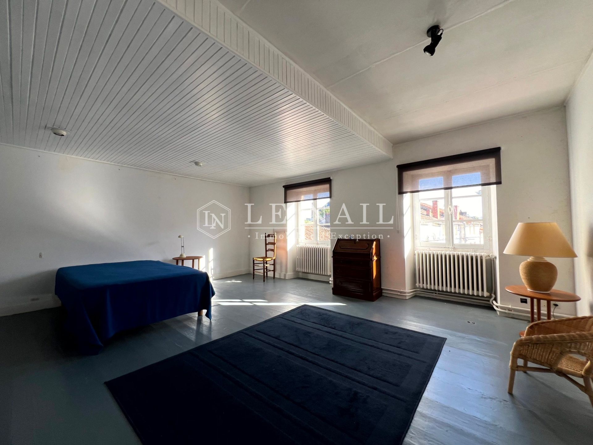 maison de maître 14 pièces en vente à CIVRAY (86400)