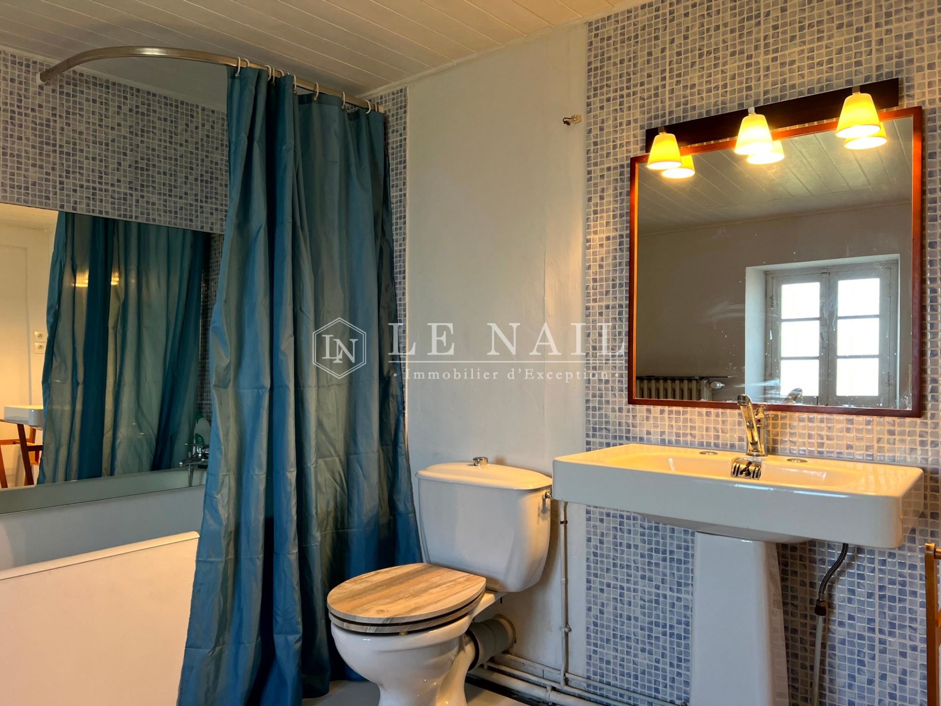 maison de maître 14 pièces en vente à CIVRAY (86400)