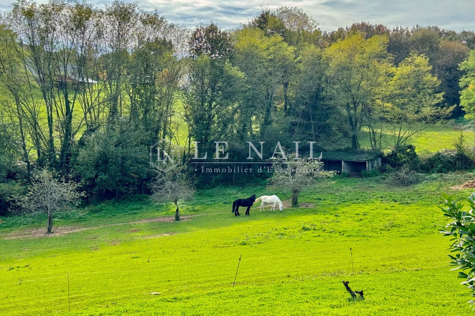propriété 8 pièces en vente à Sarlat la caneda (24200)