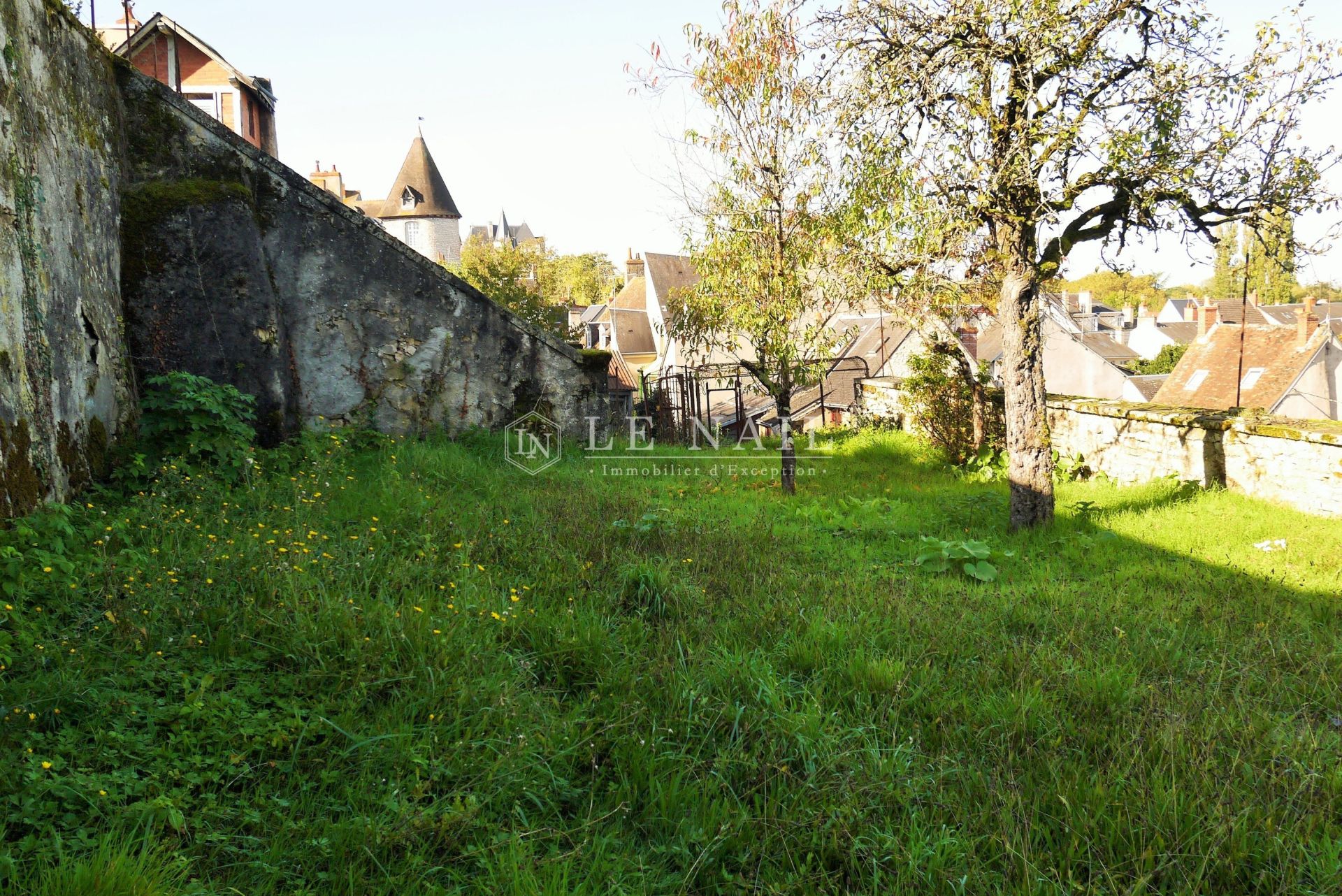 maison bourgeoise 15 pièces en vente à CHATEAUROUX (36000)
