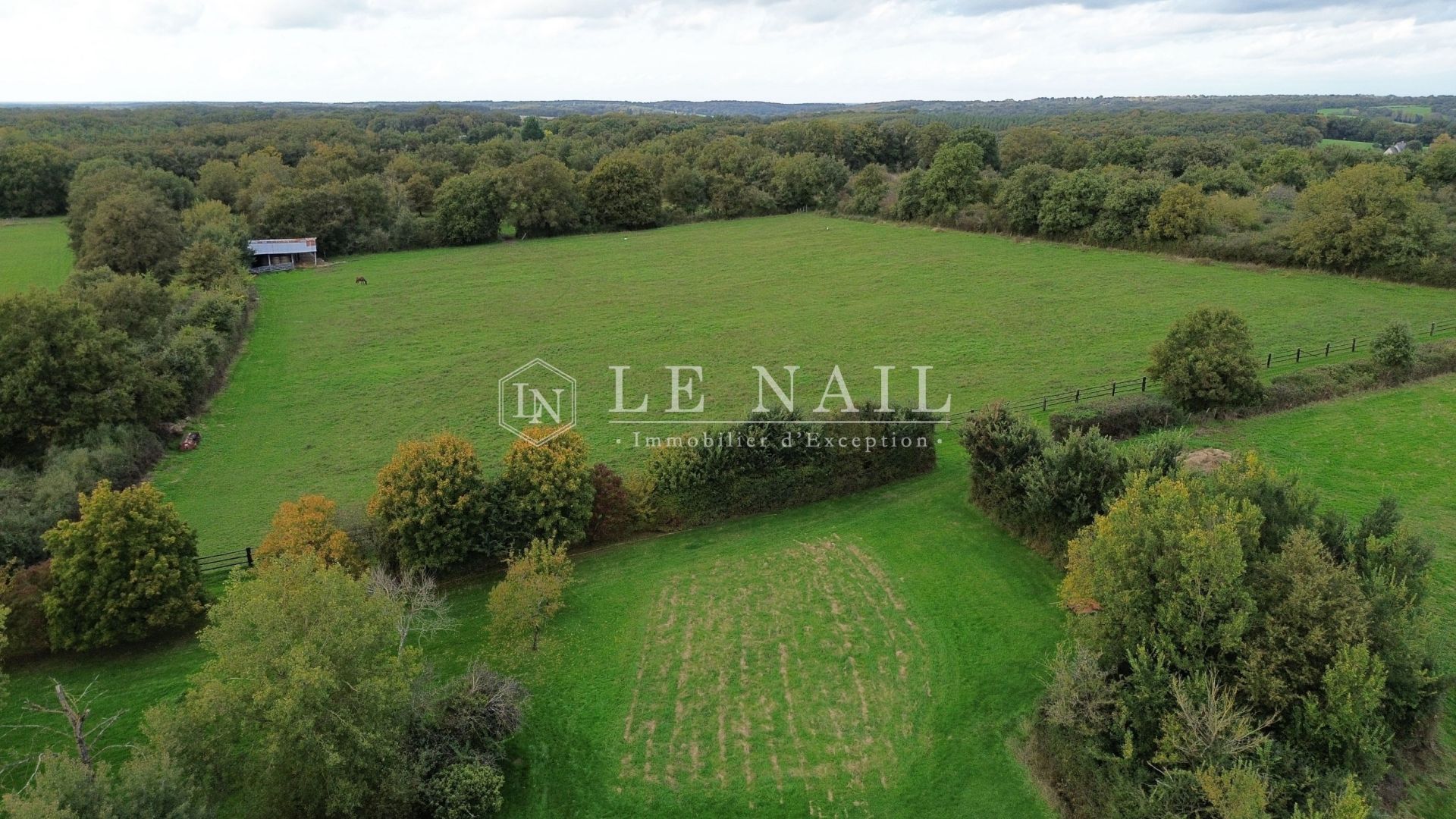 equestrian property 7 rooms for sale on CHATEAU LA VALLIERE (37330)
