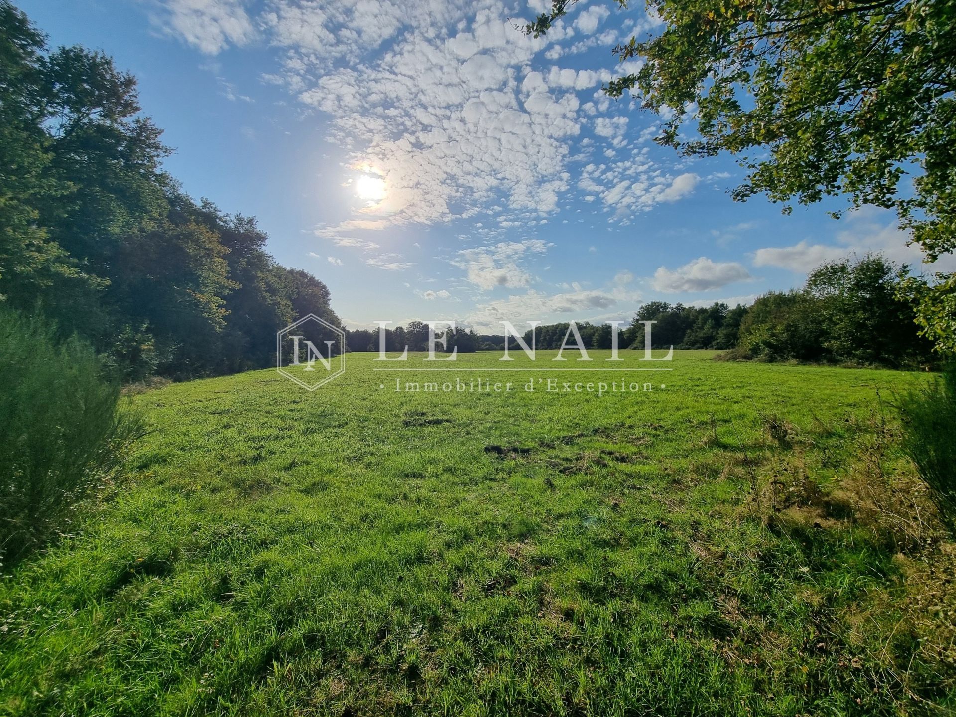 equestrian property 7 rooms for sale on CHATEAU LA VALLIERE (37330)