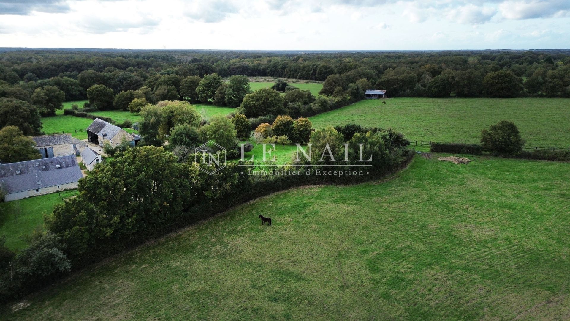 equestrian property 7 rooms for sale on CHATEAU LA VALLIERE (37330)