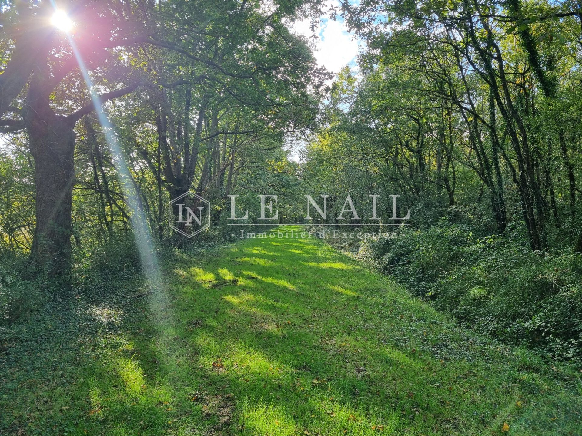 equestrian property 7 rooms for sale on CHATEAU LA VALLIERE (37330)