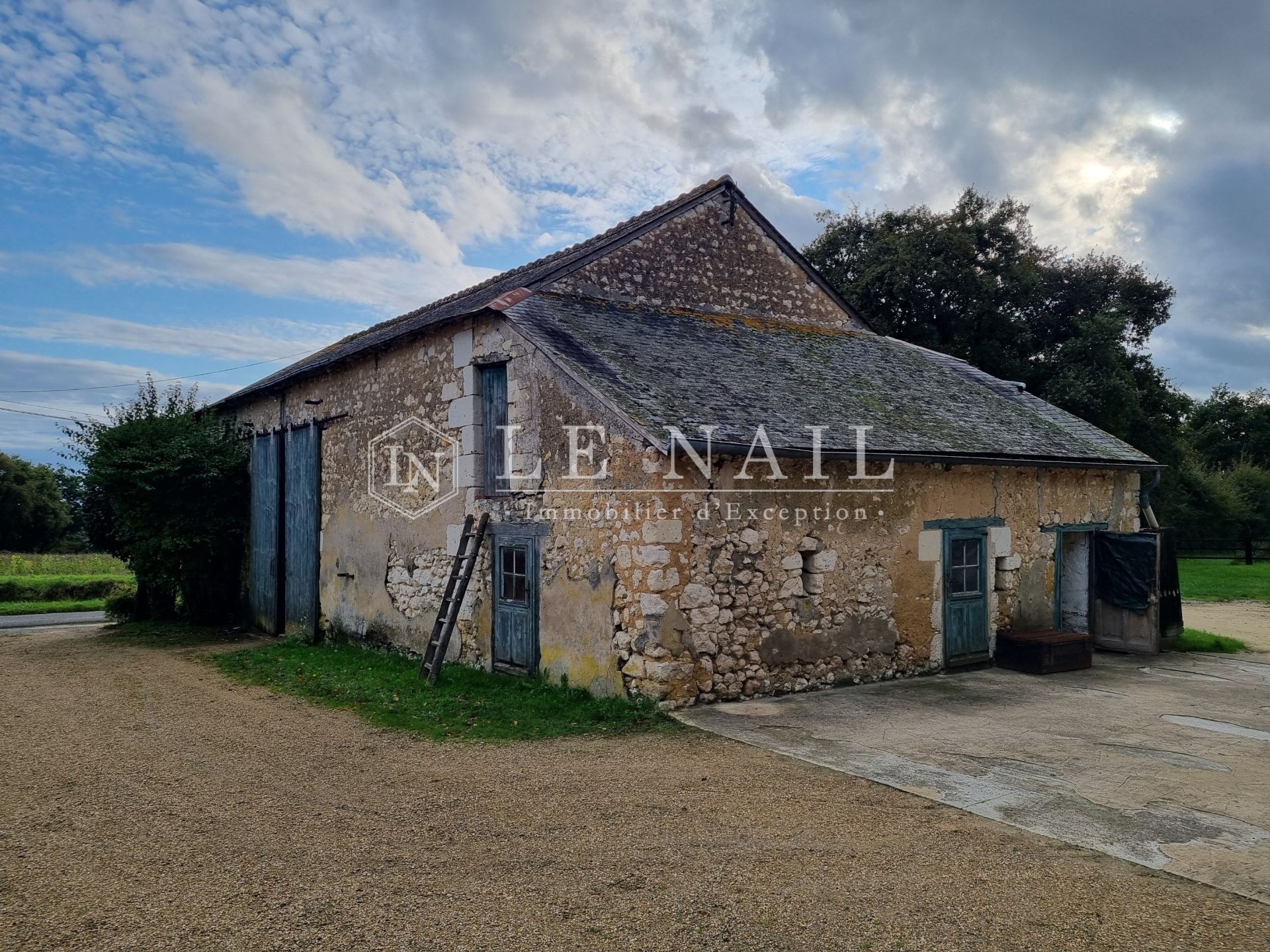 equestrian property 7 rooms for sale on CHATEAU LA VALLIERE (37330)