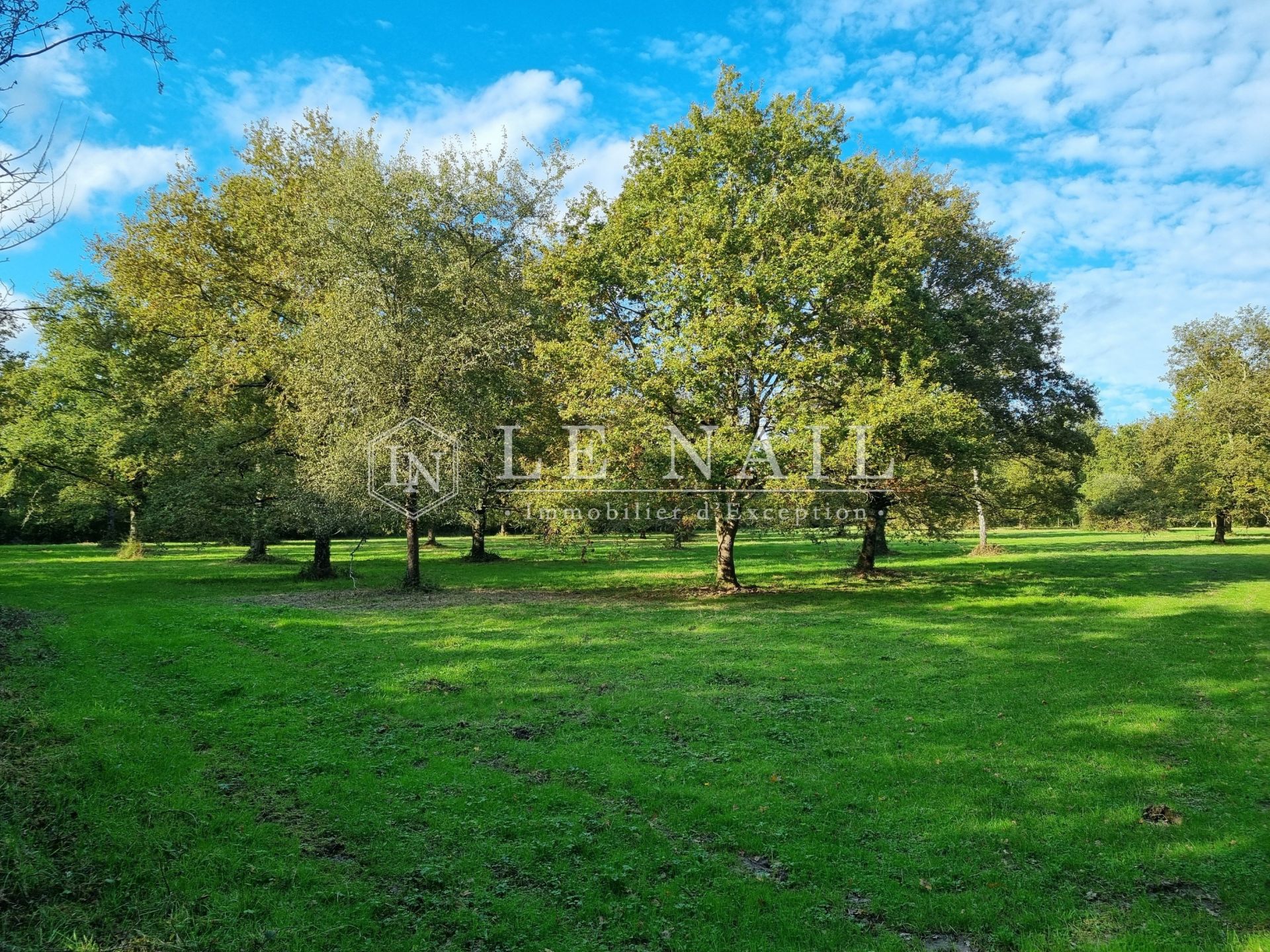 equestrian property 7 rooms for sale on CHATEAU LA VALLIERE (37330)