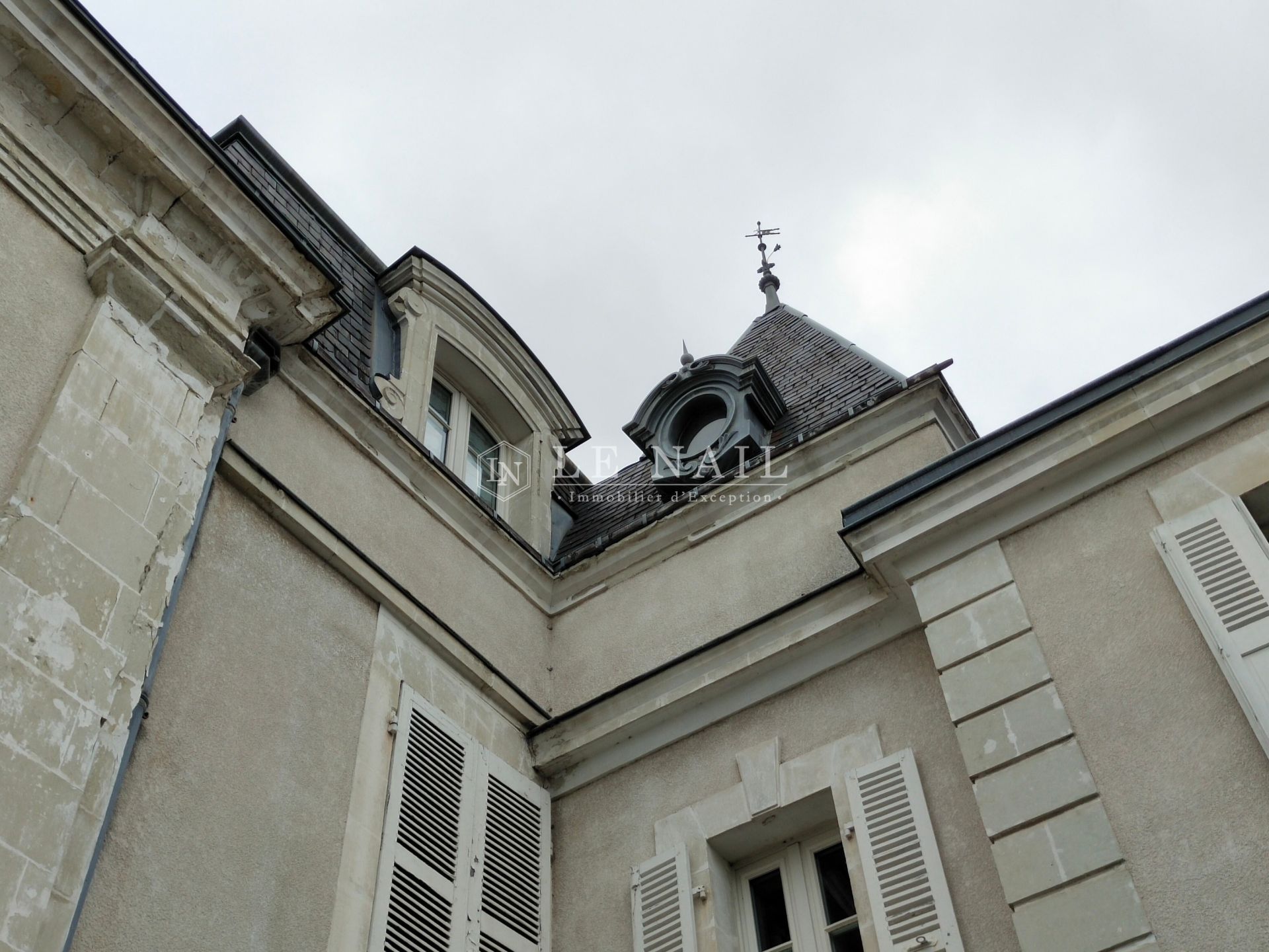 mansion (hôtel particulier) 13 rooms for sale on CHATEAU GONTIER SUR MAYENNE (53200)