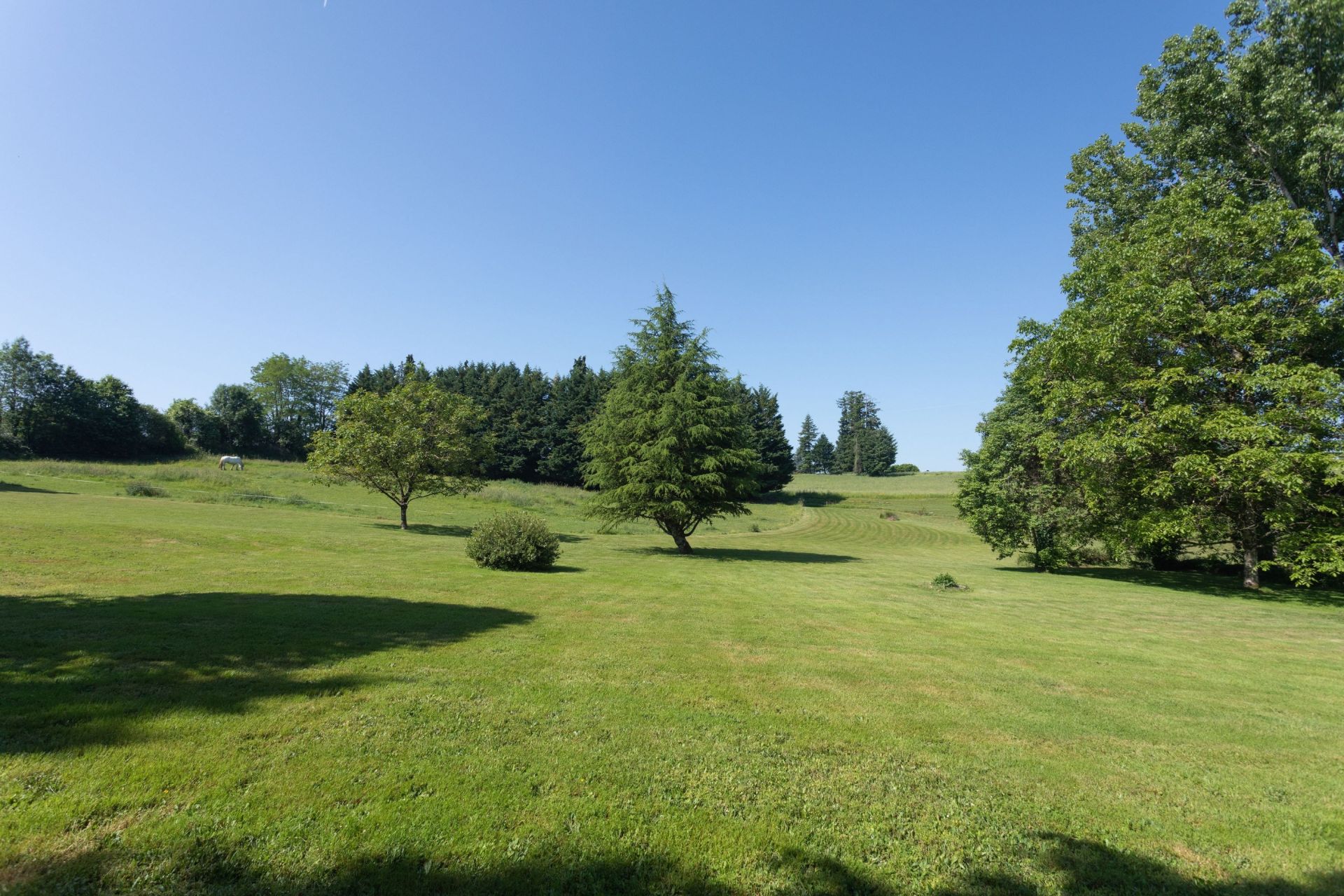 castle 25 rooms for sale on ARNAC POMPADOUR (19230)