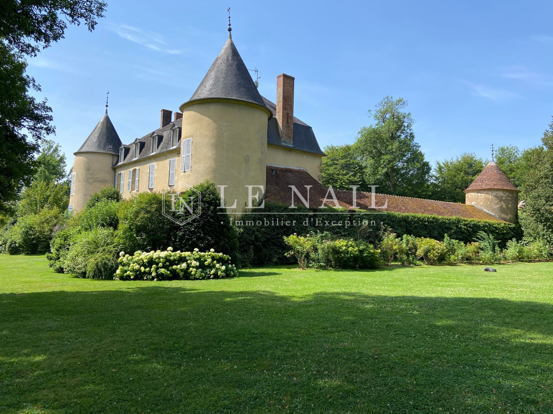 castle 15 rooms for sale on NEVERS (58000)