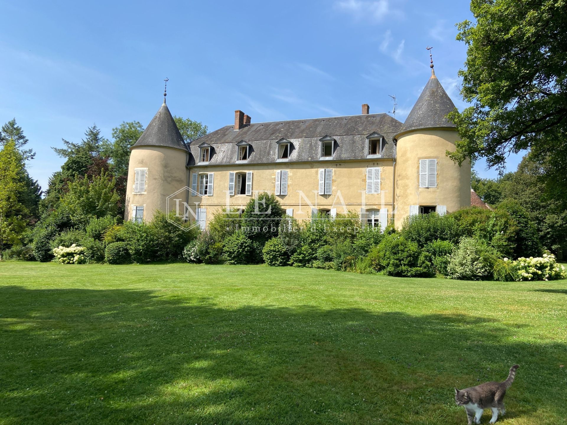 castle 15 rooms for sale on NEVERS (58000)