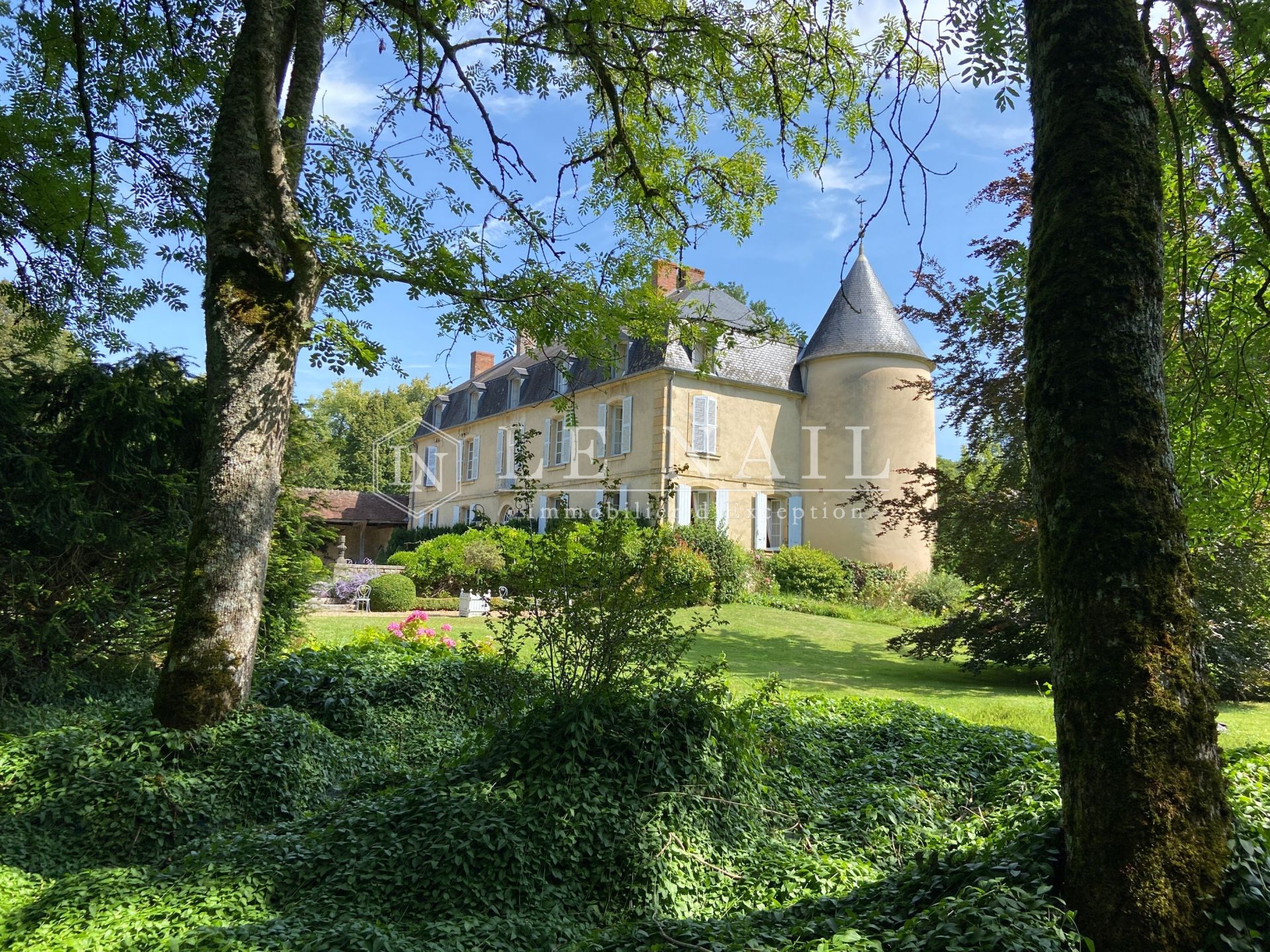 castle 15 rooms for sale on NEVERS (58000)