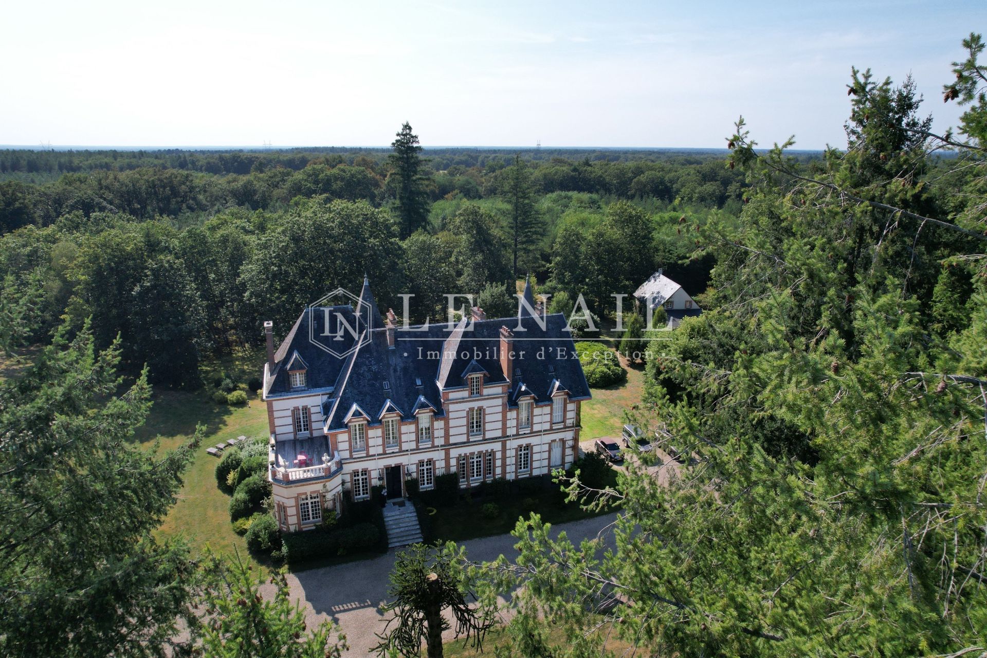 castle 24 rooms for sale on SALBRIS (41300)