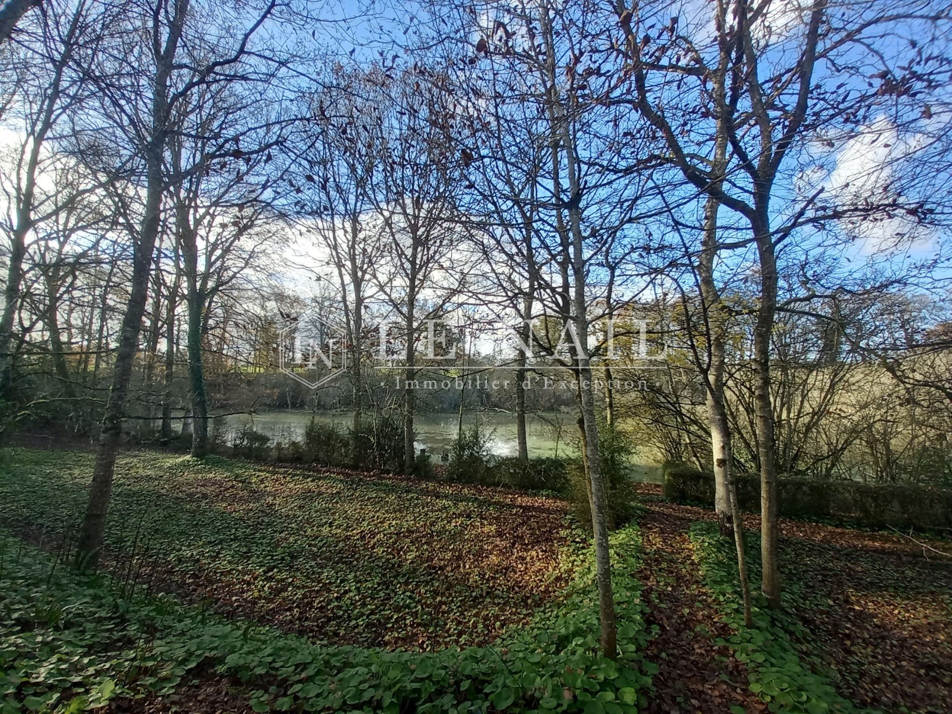 château 20 pièces en vente à MONTAUBAN DE BRETAGNE (35360)