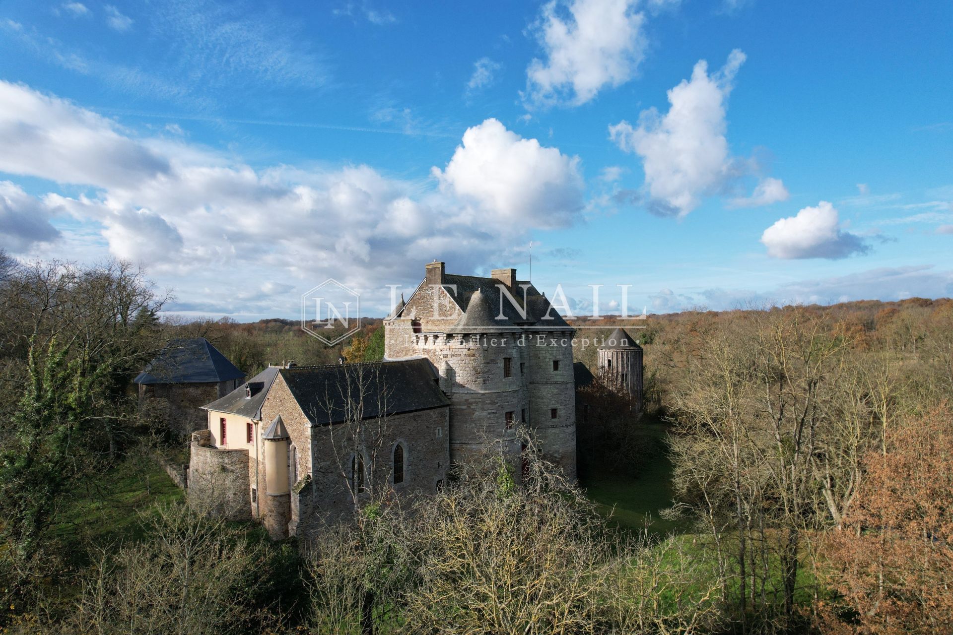 château 20 pièces en vente à MONTAUBAN DE BRETAGNE (35360)