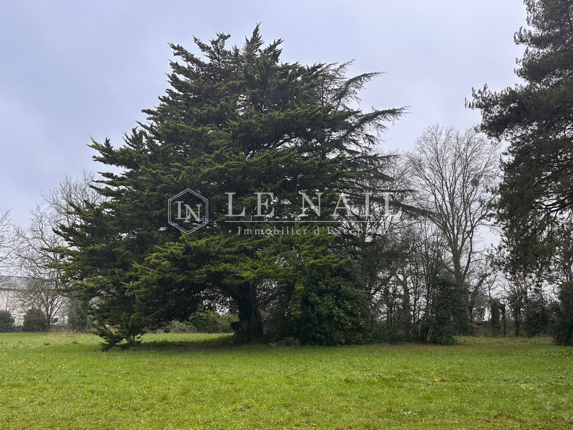 house 11 rooms for sale on LA CHAPELLE HEULIN (44330)