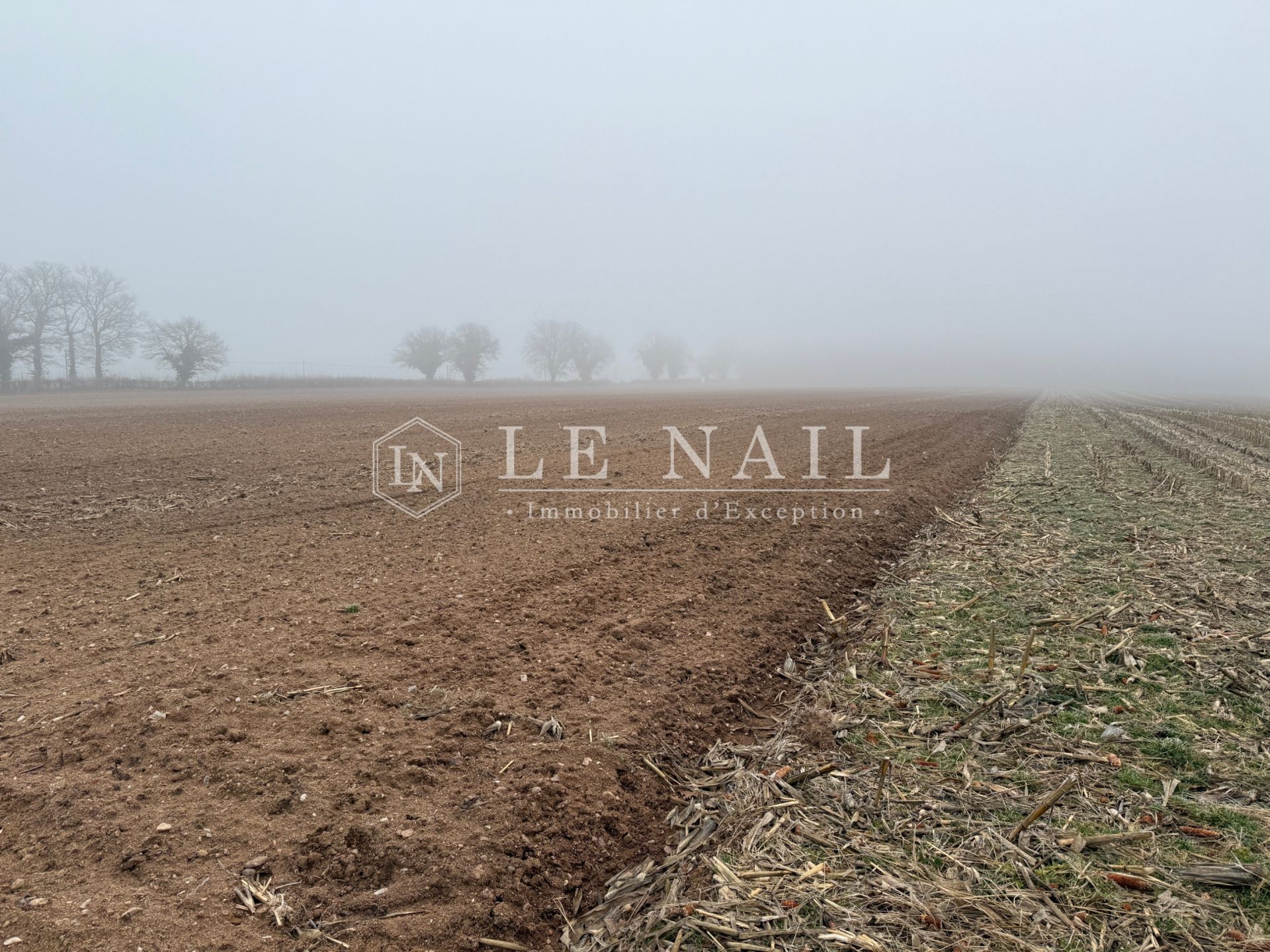 terrain agricole en vente à AINAY LE CHATEAU (03360)