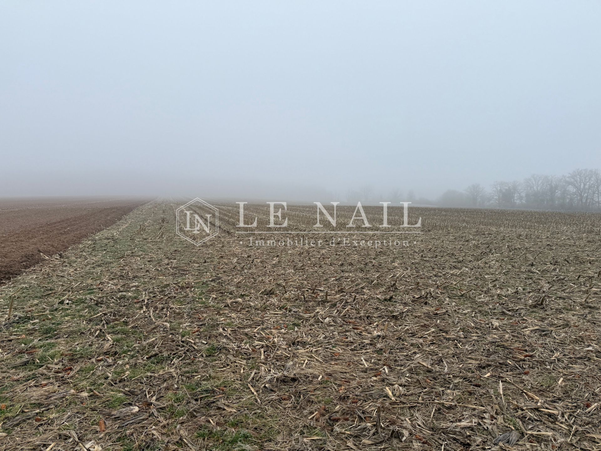 terrain agricole en vente à AINAY LE CHATEAU (03360)