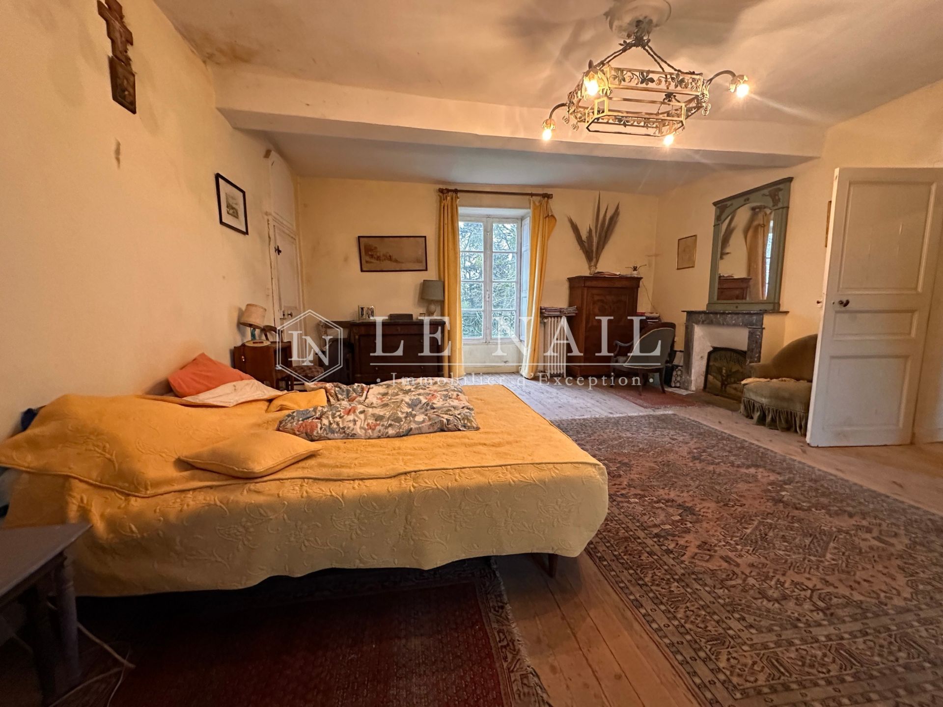 manor house 11 rooms for sale on THOUARE SUR LOIRE (44470)