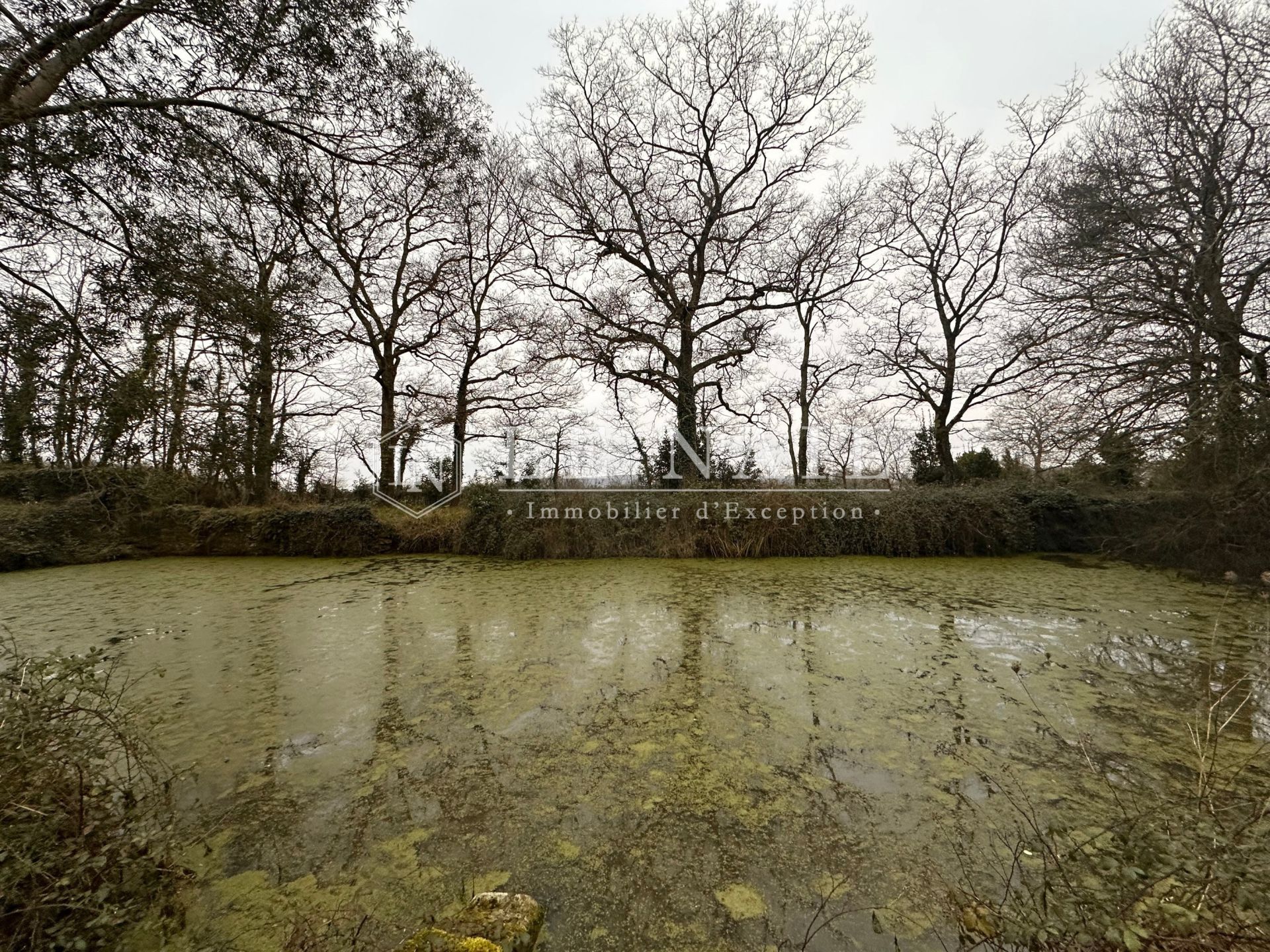 manor house 11 rooms for sale on THOUARE SUR LOIRE (44470)