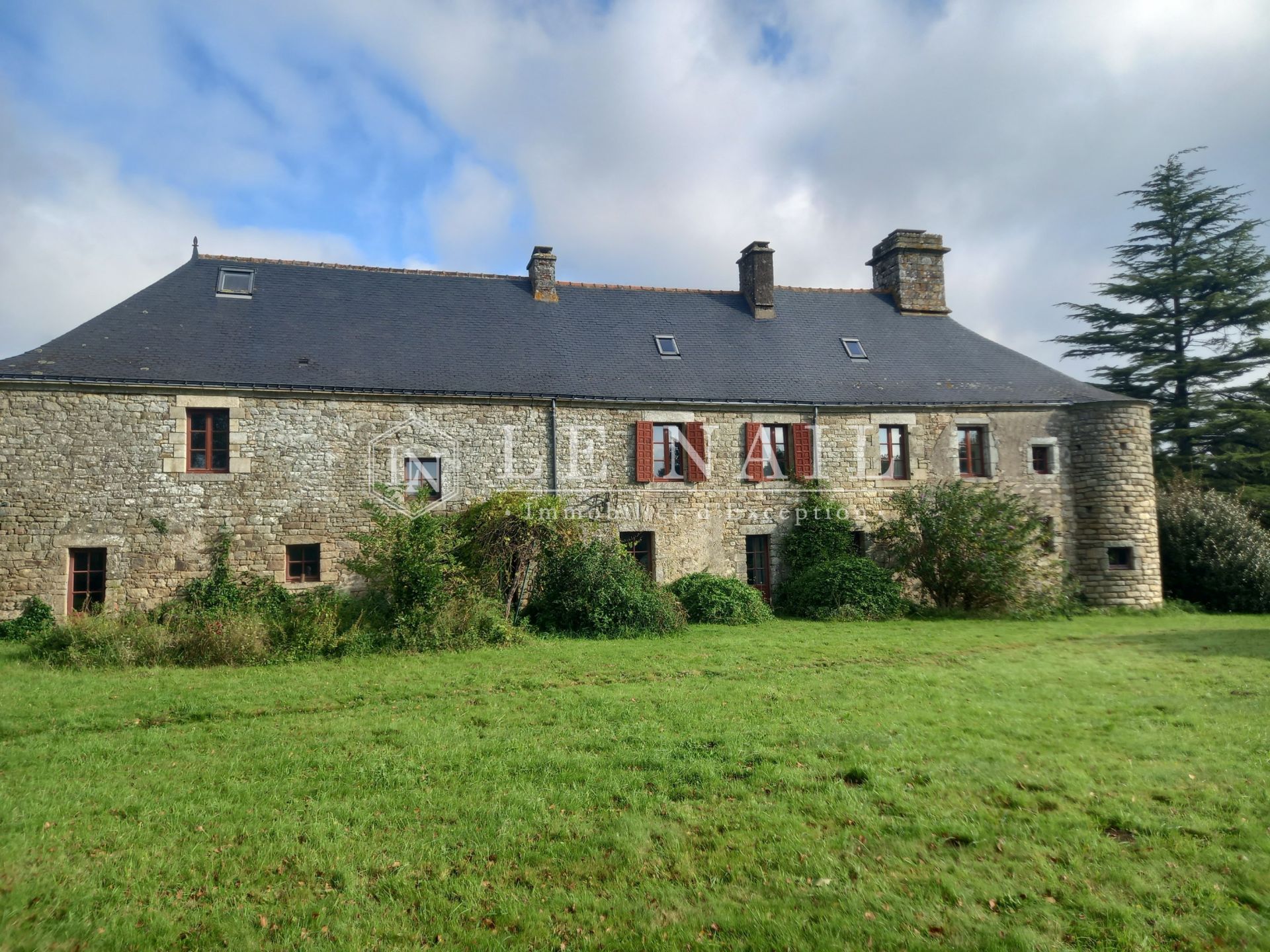 manor house 12 rooms for sale on MARZAN (56130)