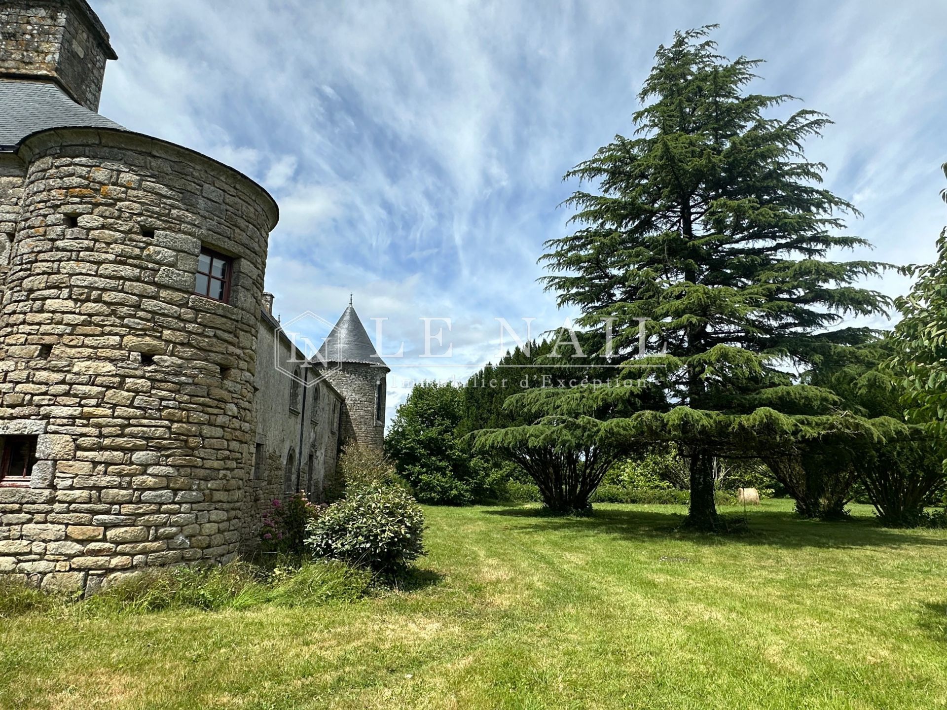 manoir 12 pièces en vente à MARZAN (56130)