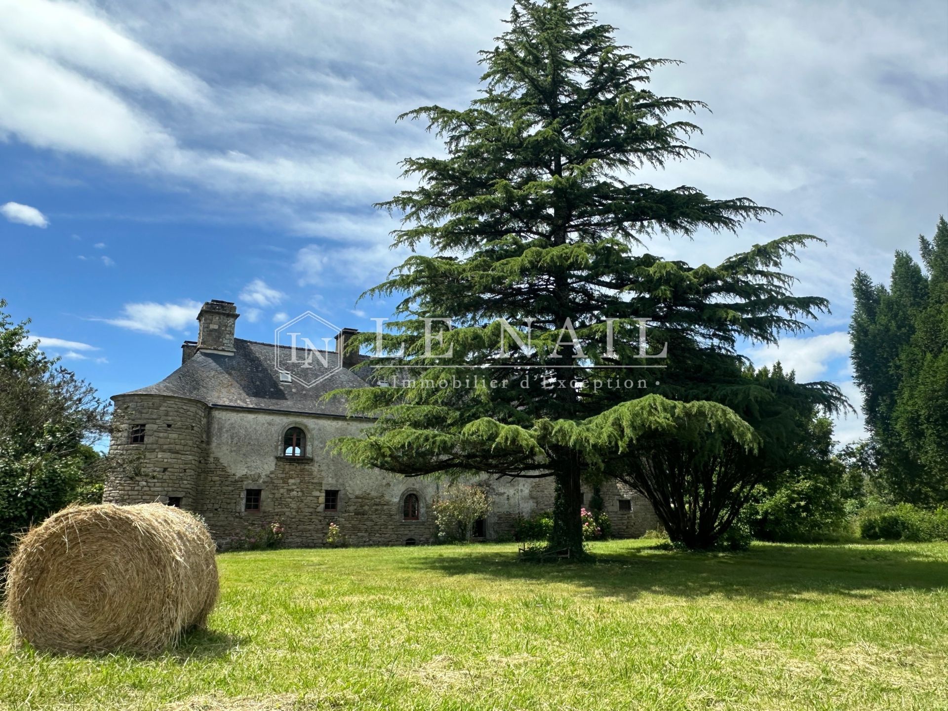 manoir 12 pièces en vente à MARZAN (56130)