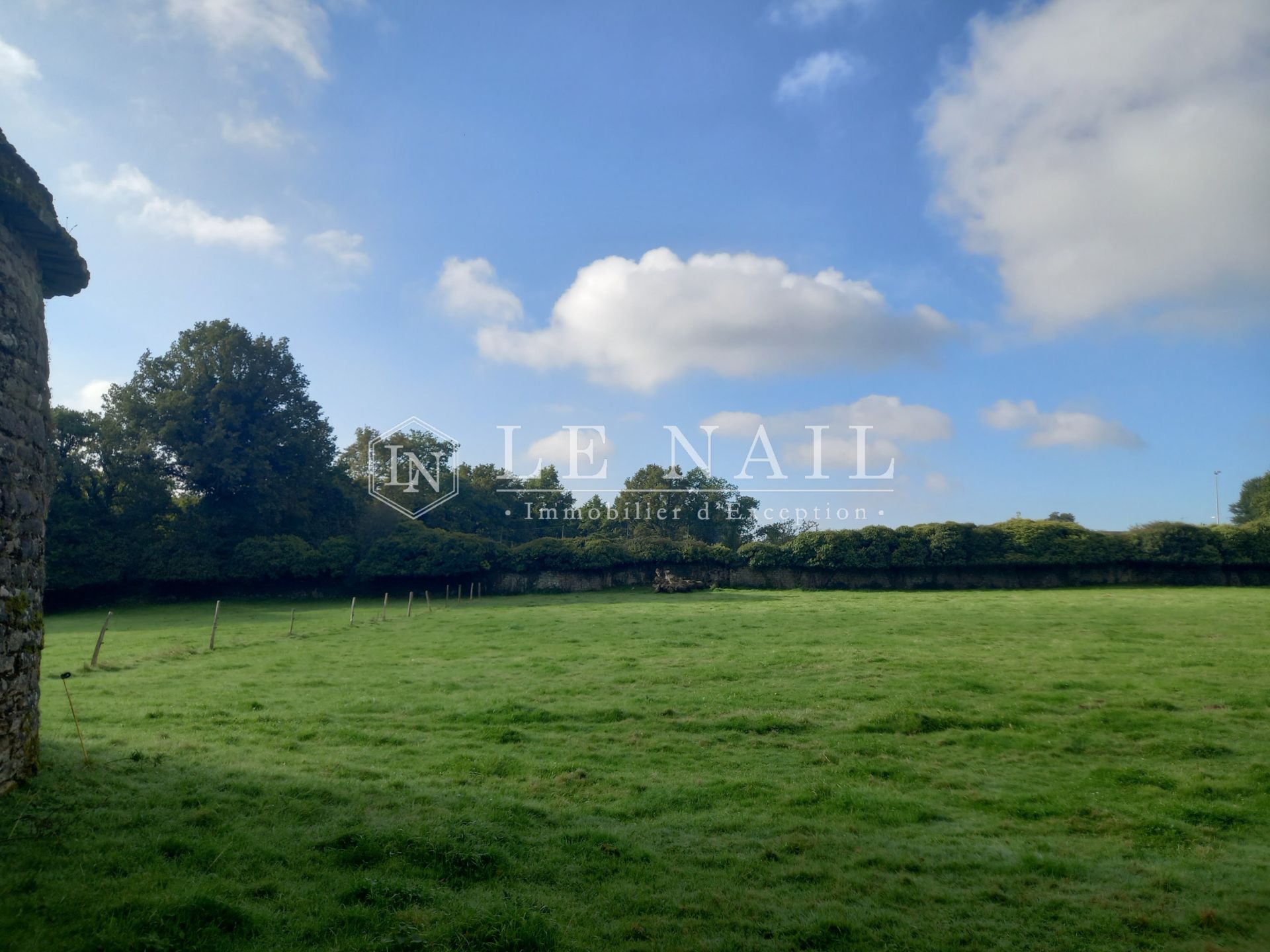 manor house 12 rooms for sale on MARZAN (56130)