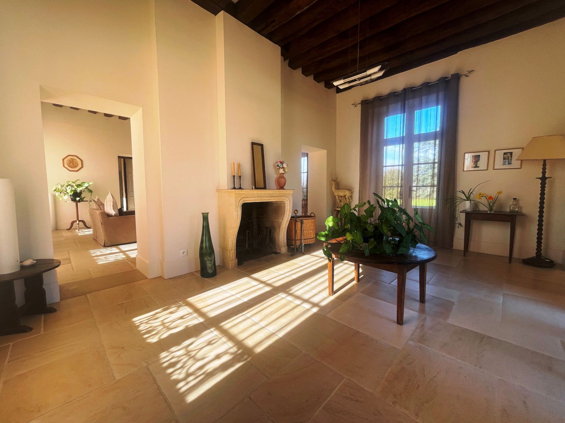 castle 20 rooms for sale on LE BLANC (36300)