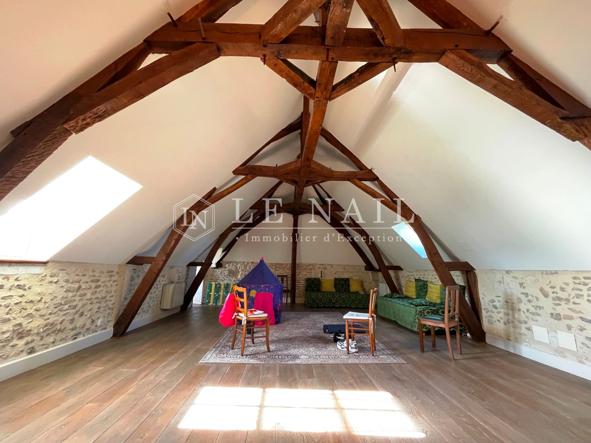 château 20 pièces en vente à LE BLANC (36300)