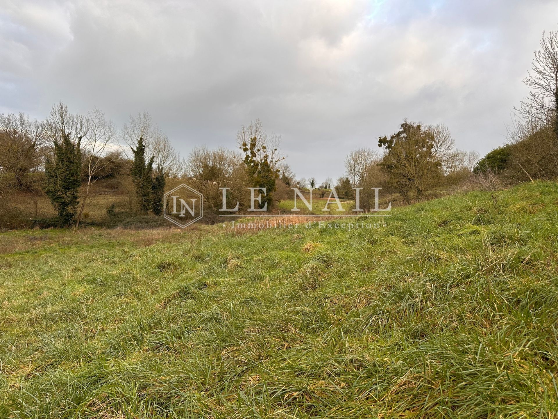 property 6 rooms for sale on BAZOGES EN PAREDS (85390)