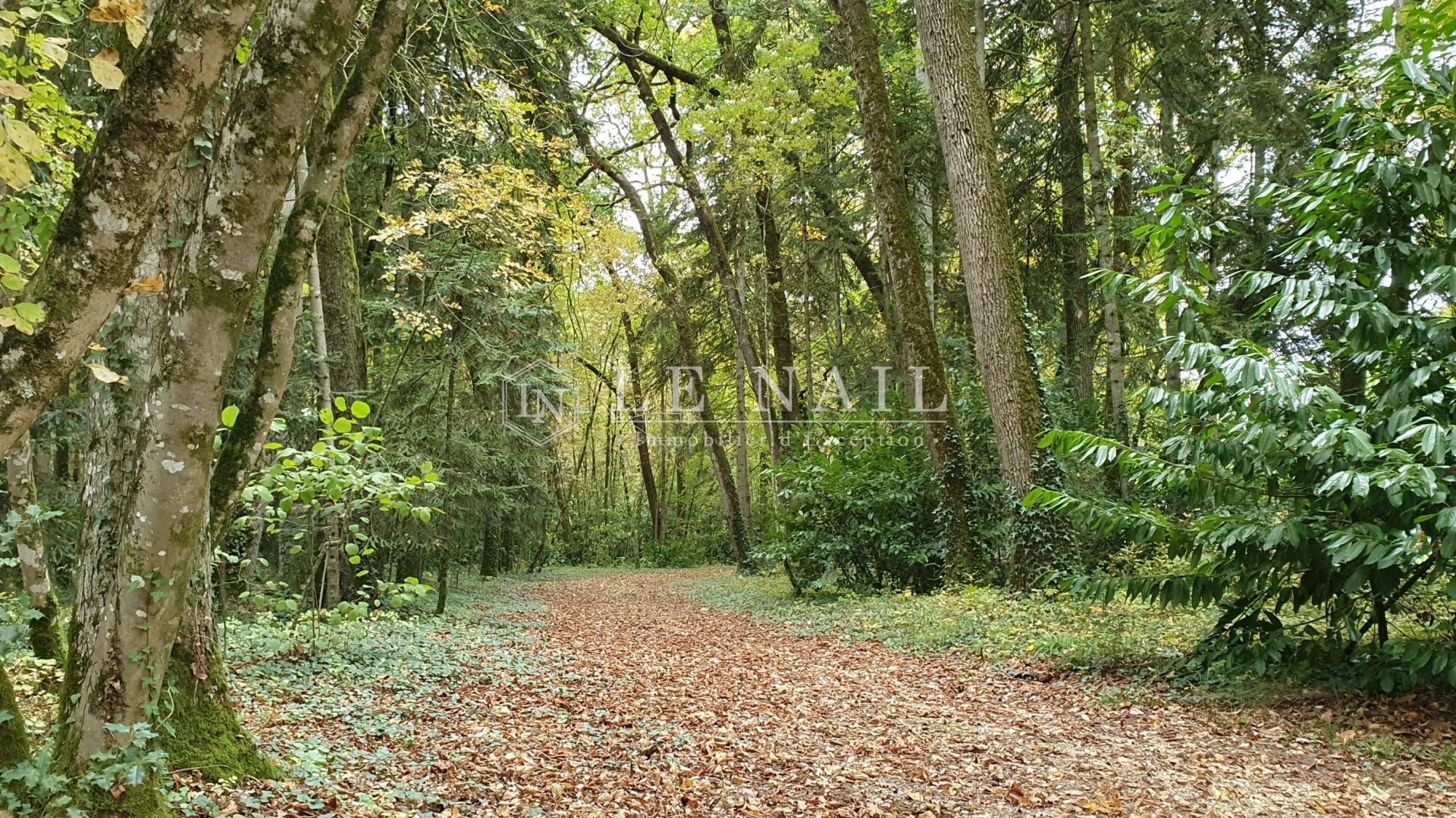 château 15 pièces en vente à PERIGUEUX (24000)
