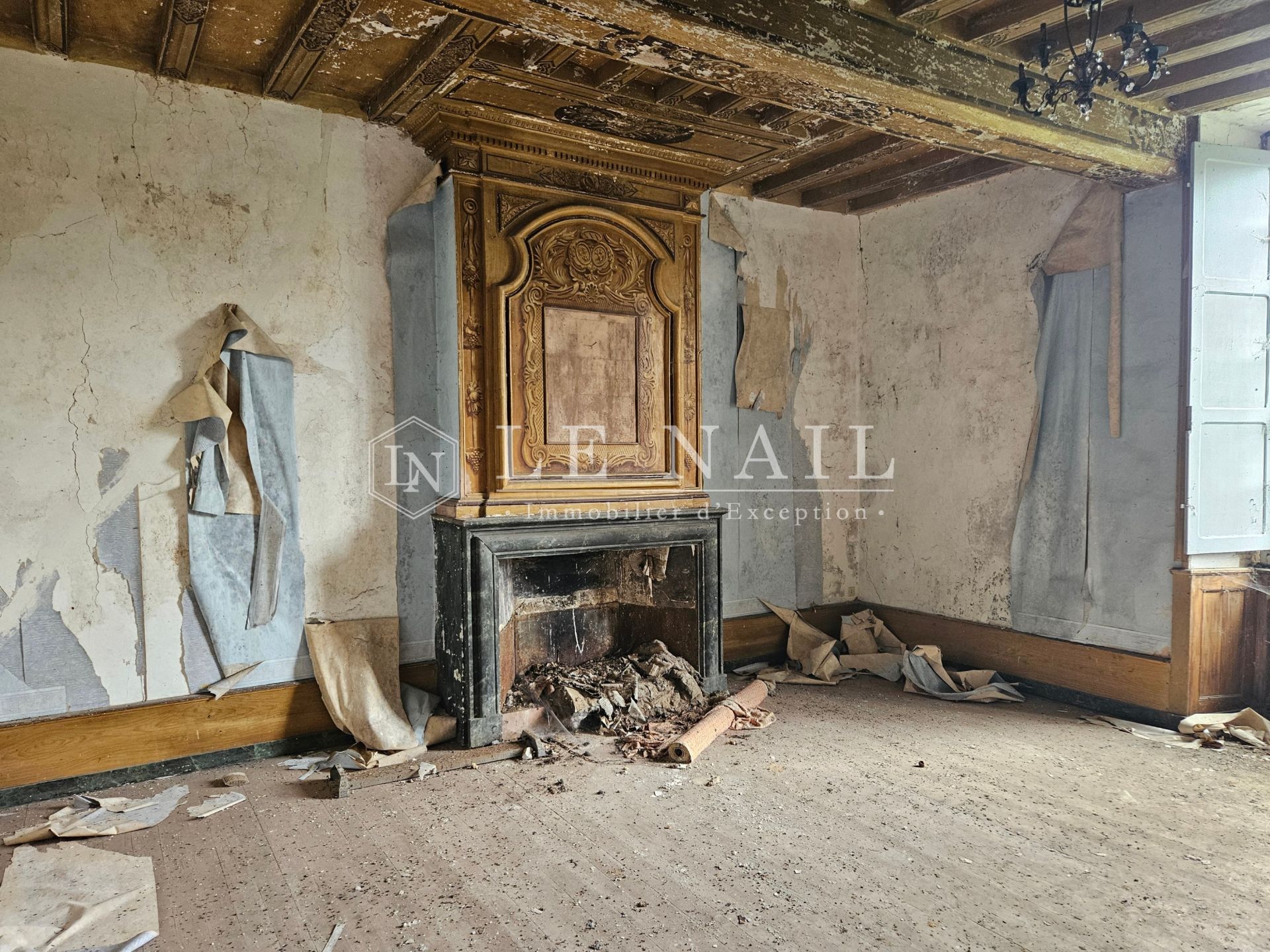 château 12 pièces en vente à CHATEAU GONTIER (53200)