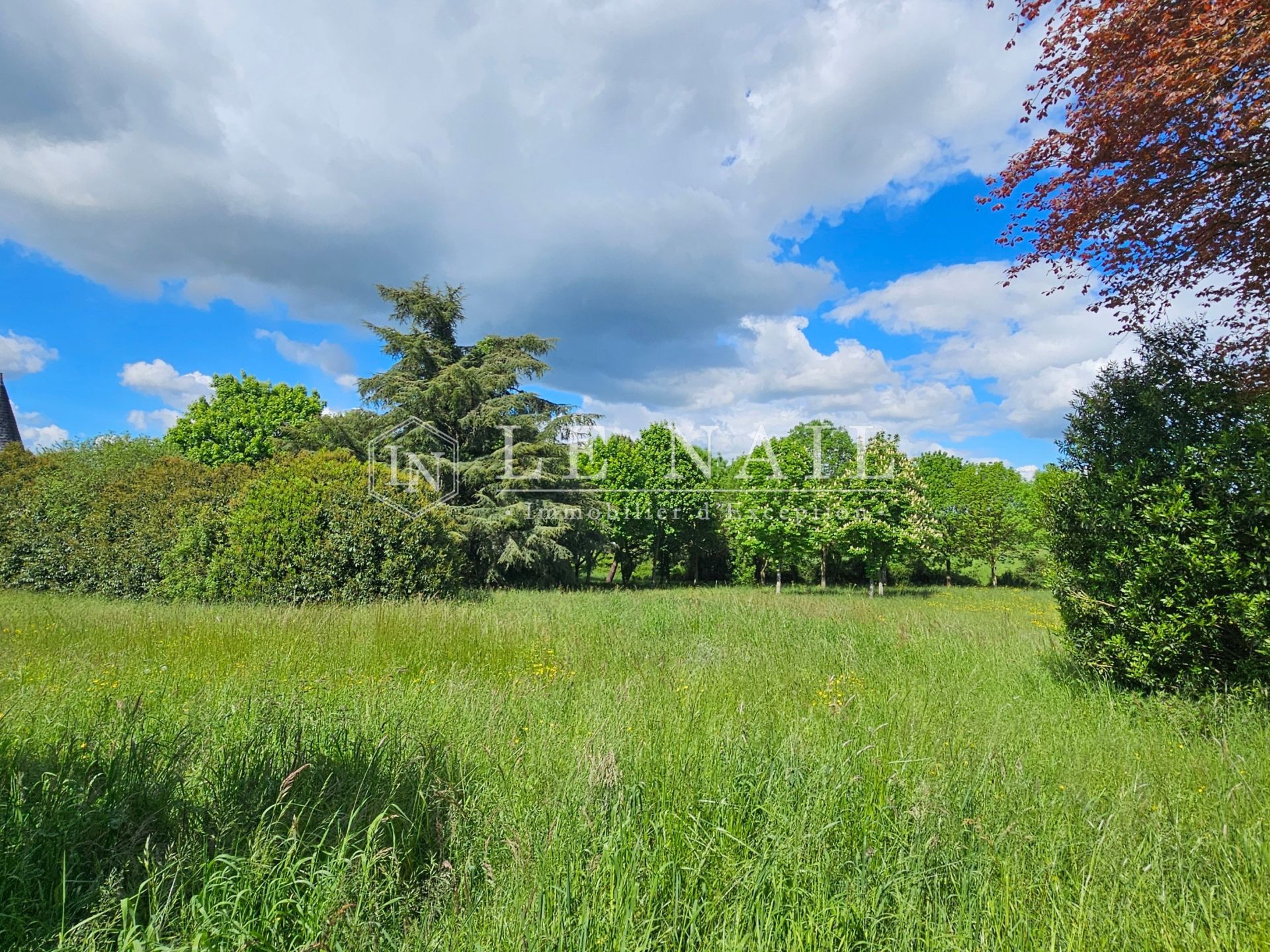 château 12 pièces en vente à CHATEAU GONTIER (53200)