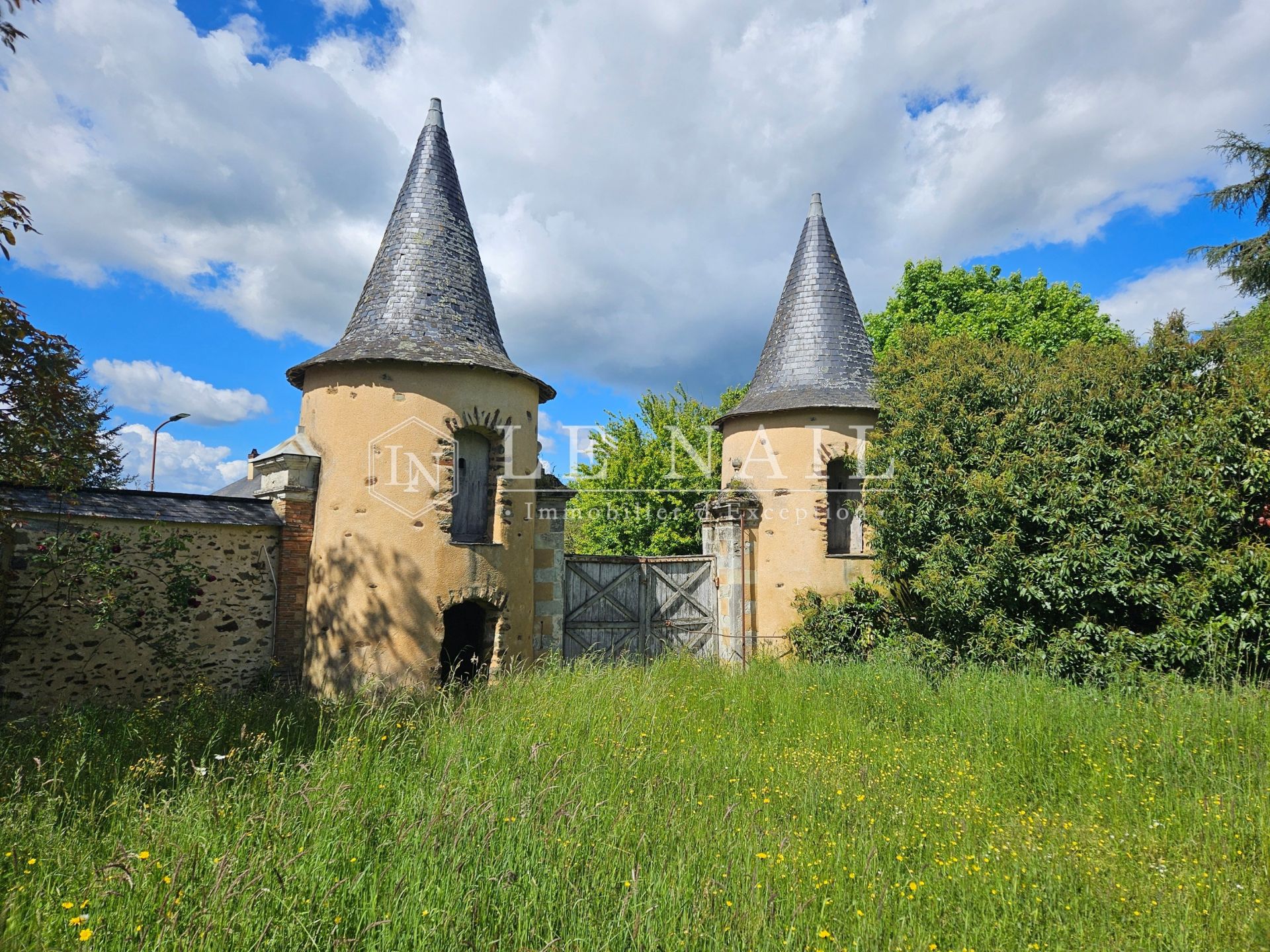 château 12 pièces en vente à CHATEAU GONTIER (53200)