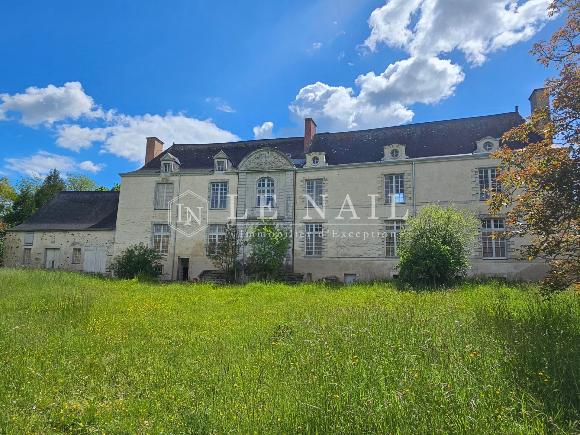 château 12 pièces en vente à CHATEAU GONTIER (53200)
