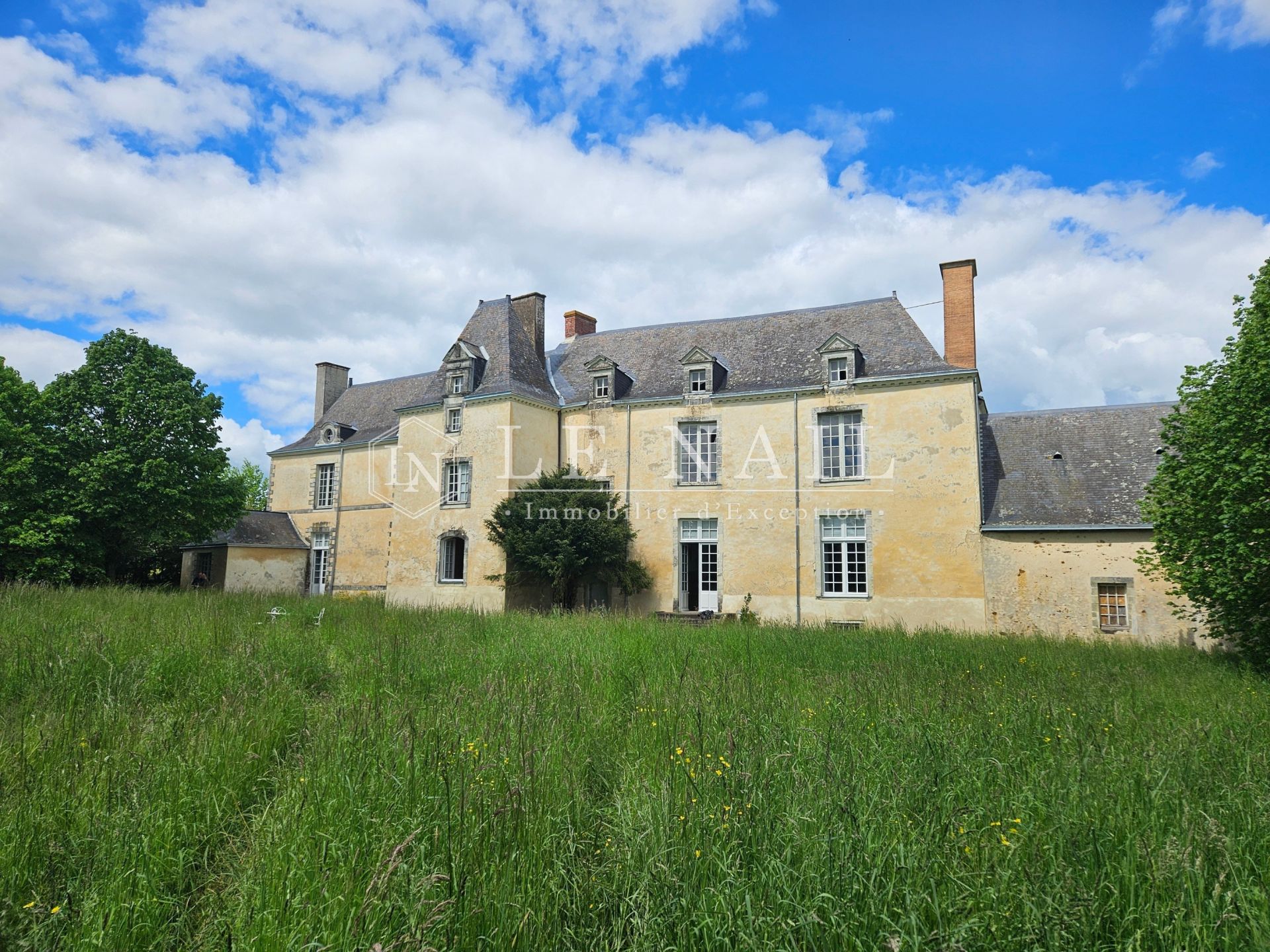 château 12 pièces en vente à CHATEAU GONTIER (53200)