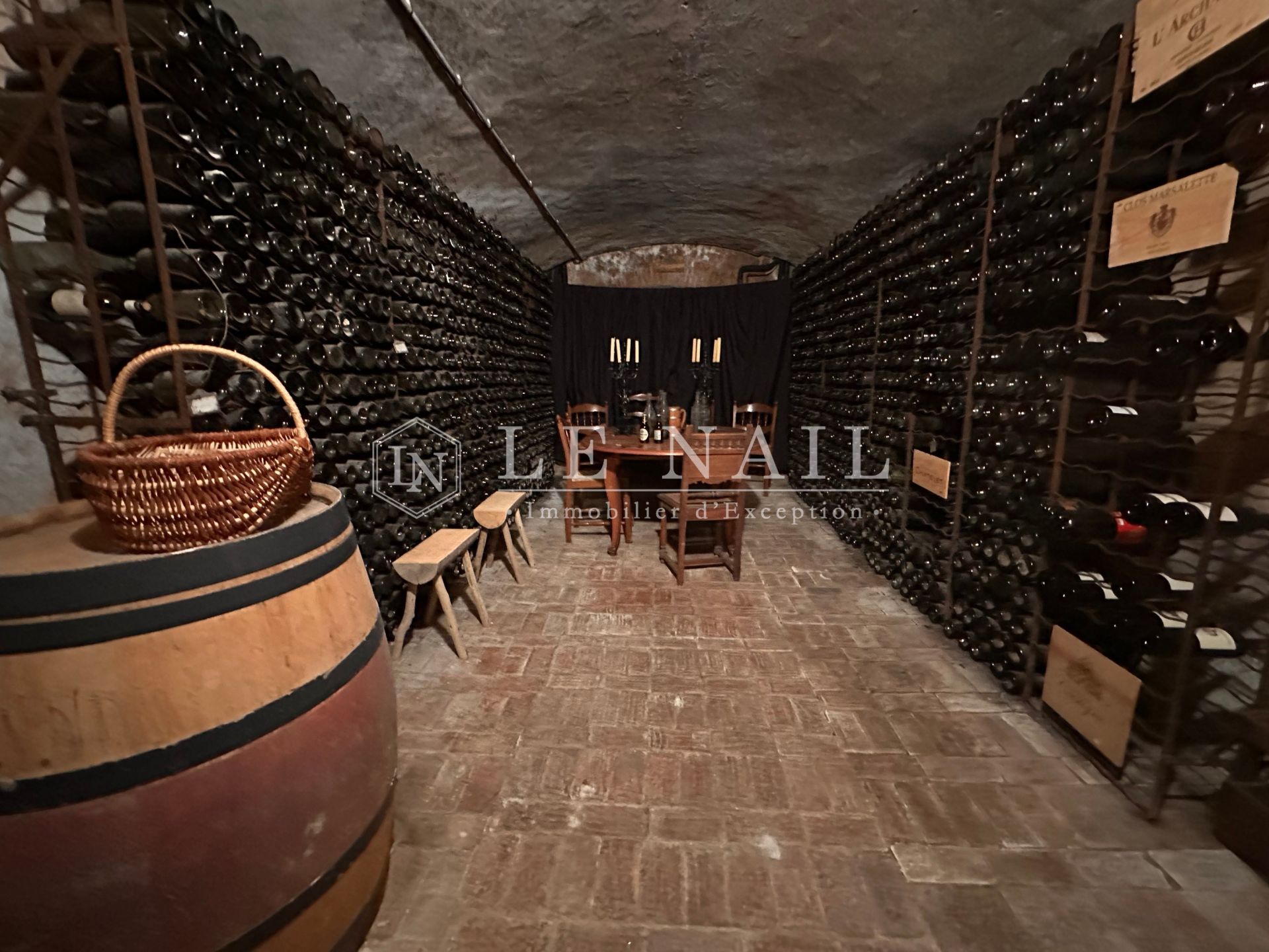 castle 13 rooms for sale on BOURNEZEAU (85480)