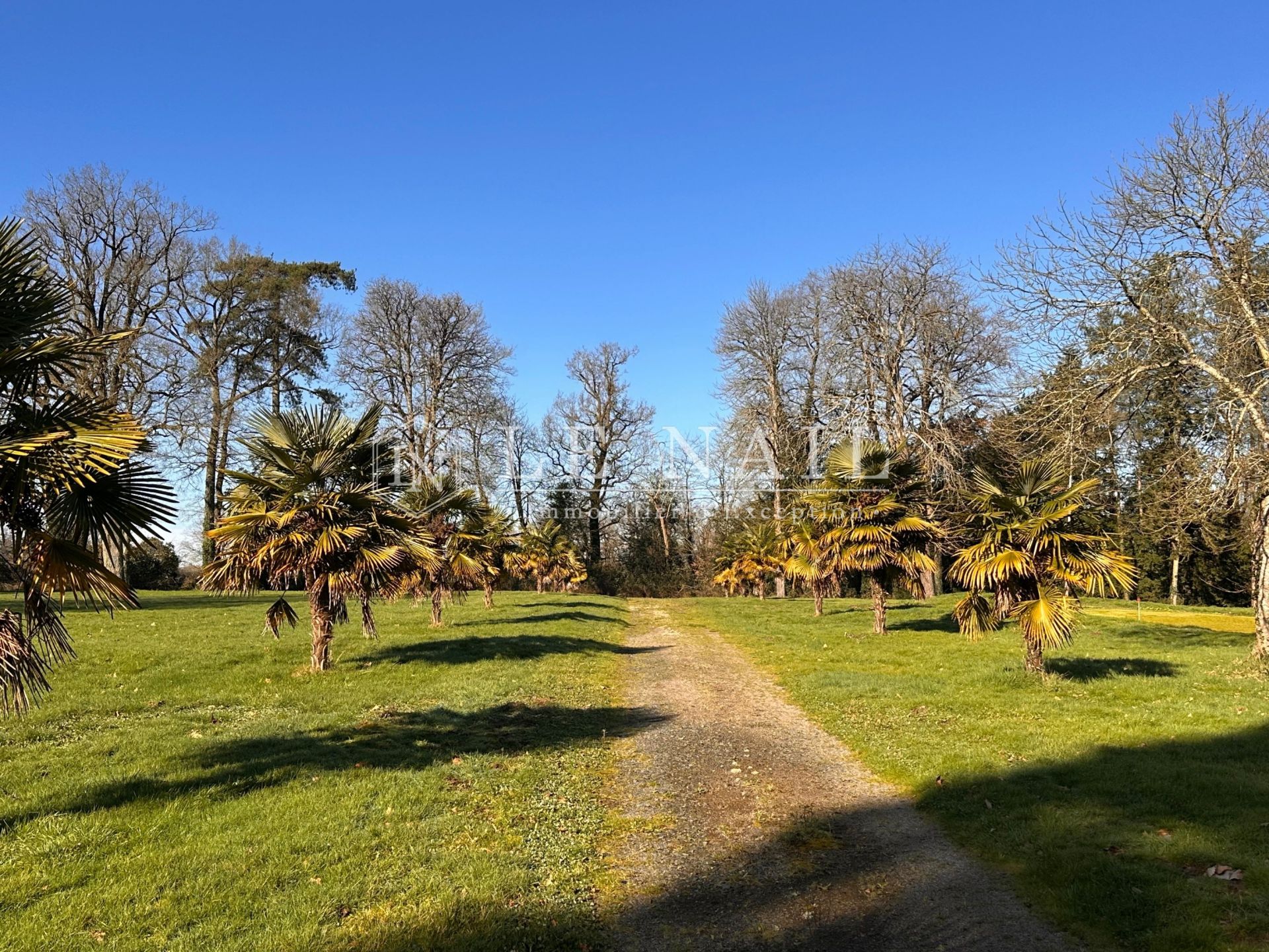 castle 13 rooms for sale on BOURNEZEAU (85480)