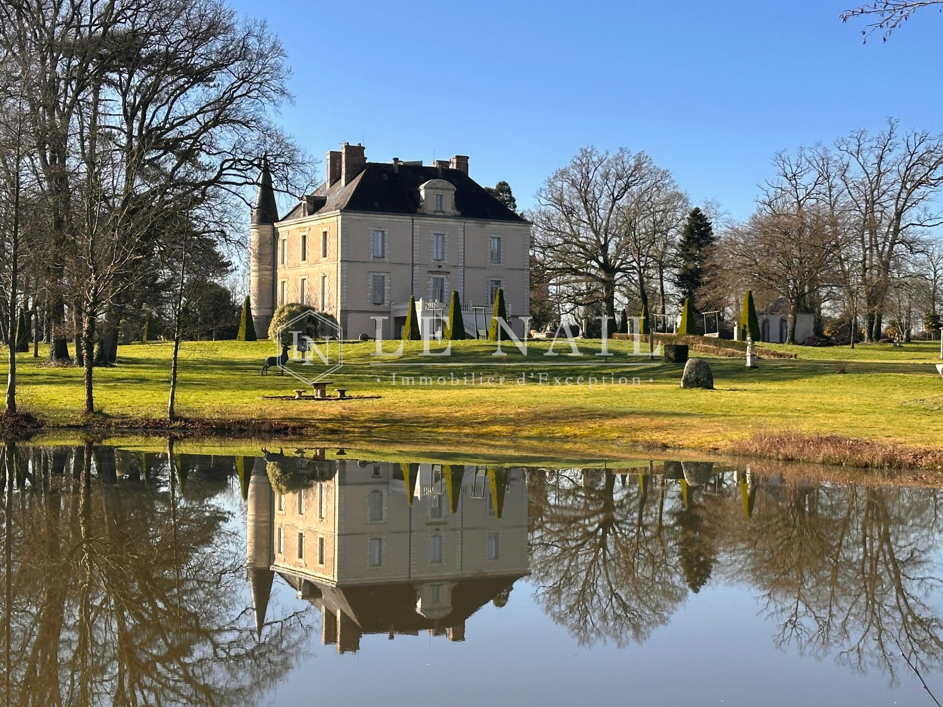 castle 13 rooms for sale on BOURNEZEAU (85480)