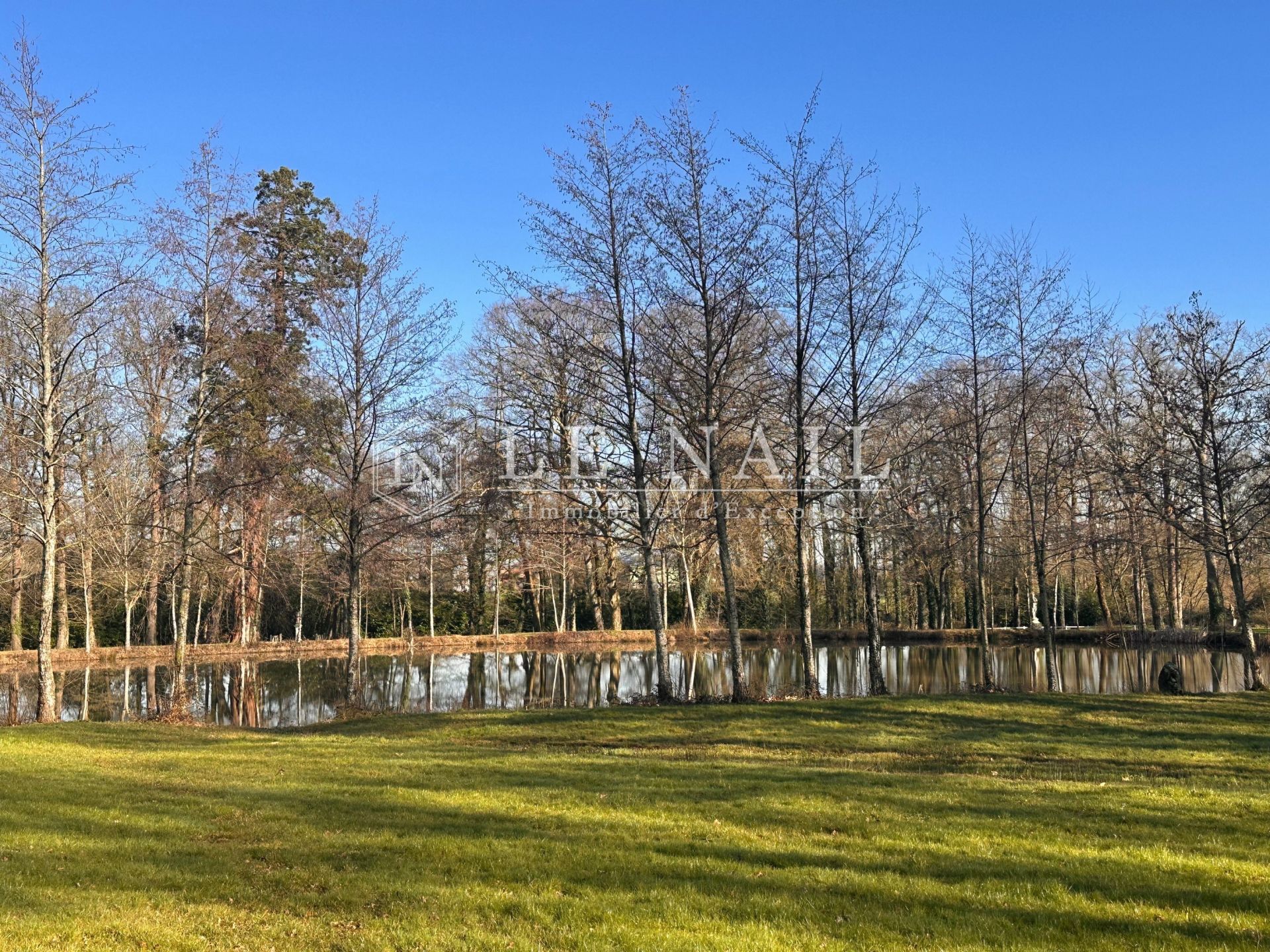 castle 13 rooms for sale on BOURNEZEAU (85480)