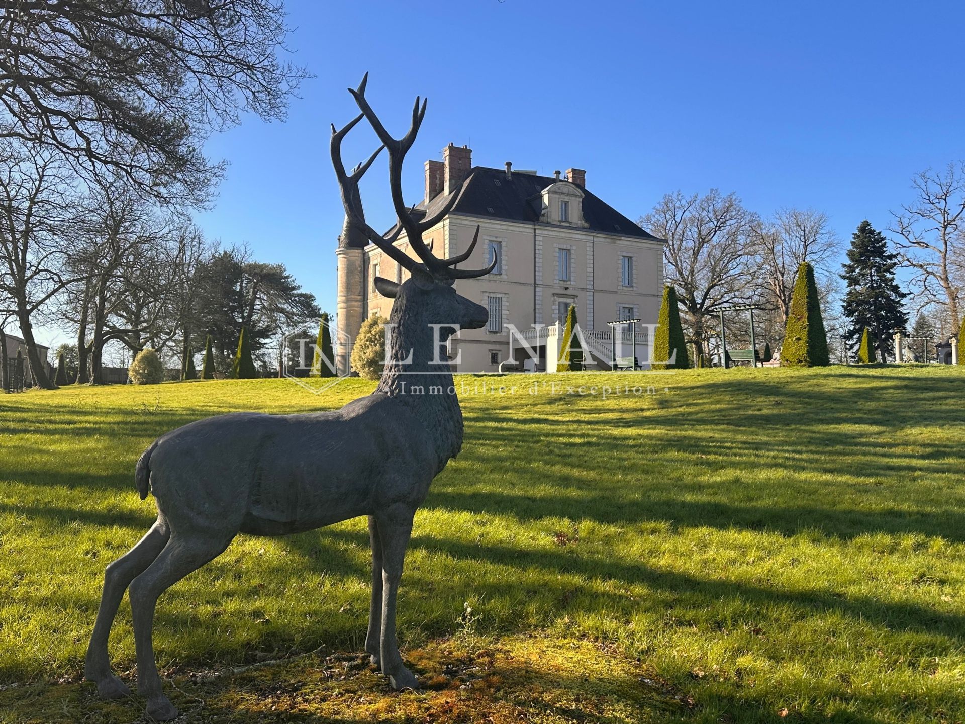 castle 13 rooms for sale on BOURNEZEAU (85480)