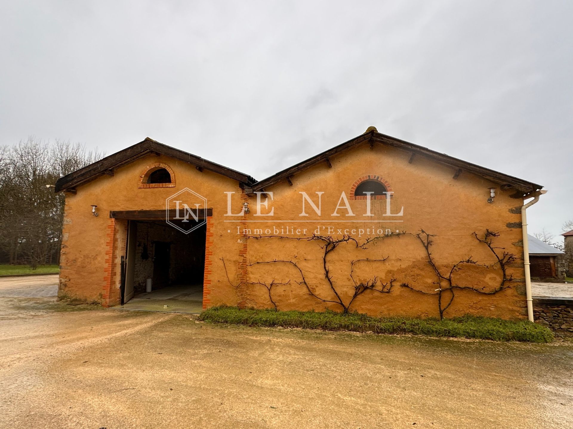 castle 11 rooms for sale on LES LUCS SUR BOULOGNE (85170)