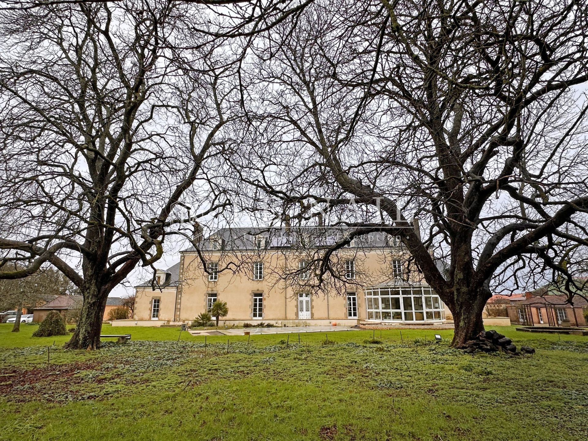 castle 11 rooms for sale on LES LUCS SUR BOULOGNE (85170)