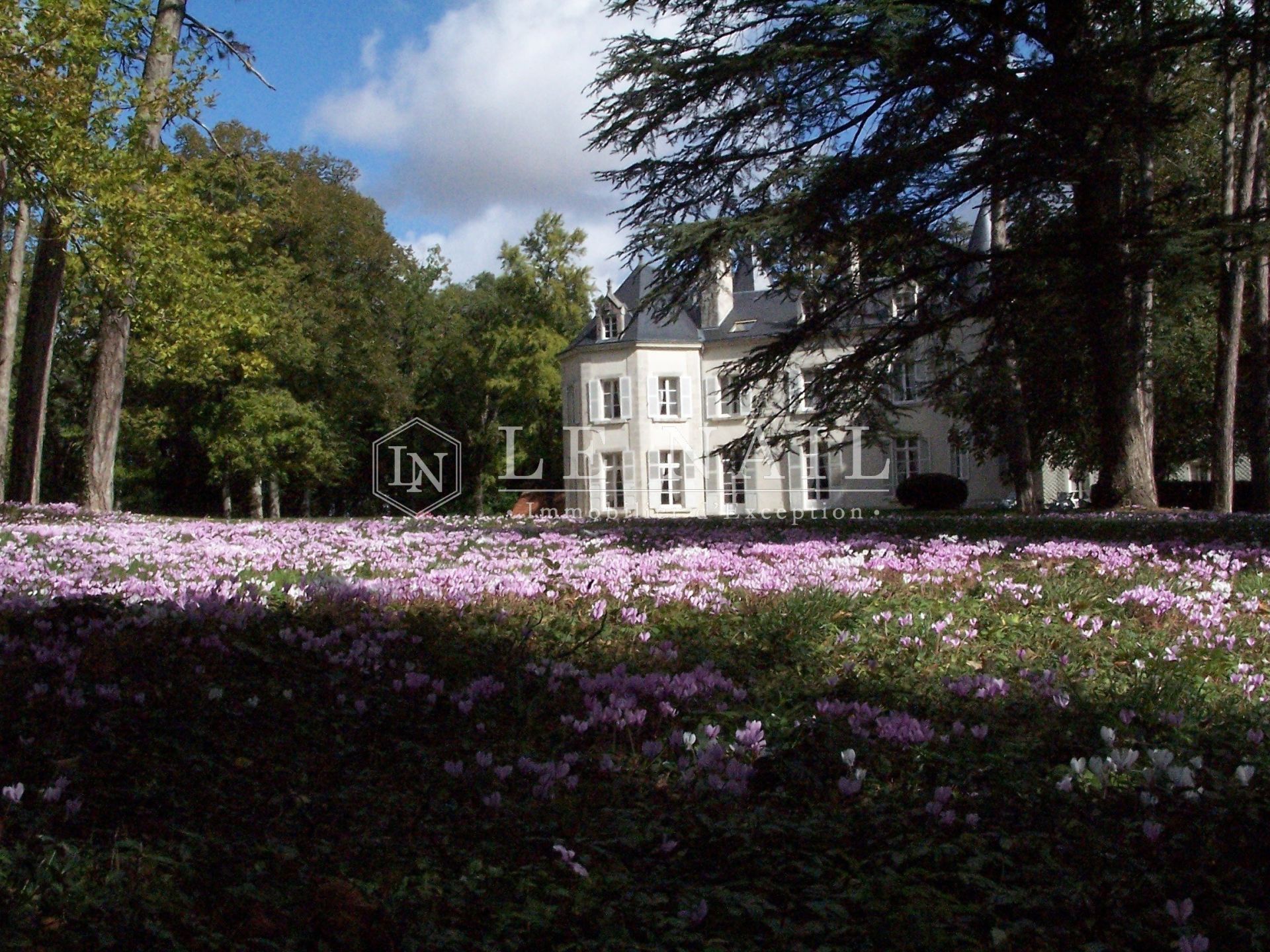 château 23 pièces en vente à BOURGES (18000)